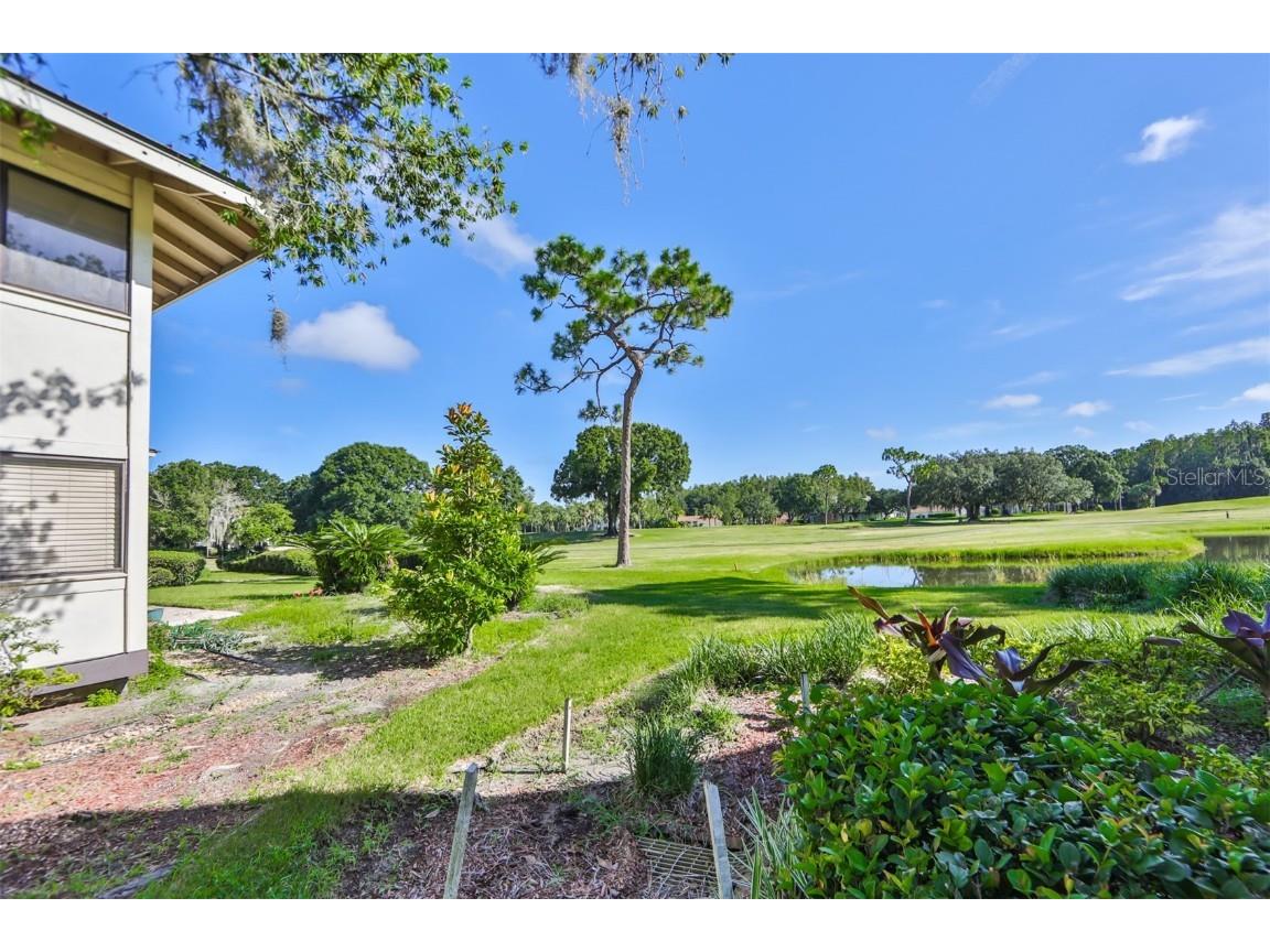 29129 S Bay Hollow Drive S #3213 Wesley Chapel FL 33543 TB8305289 image36