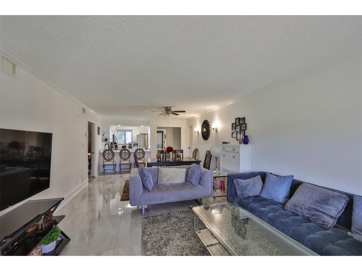 29129 S Bay Hollow Drive S #3213 Wesley Chapel FL 33543 TB8305289 image4