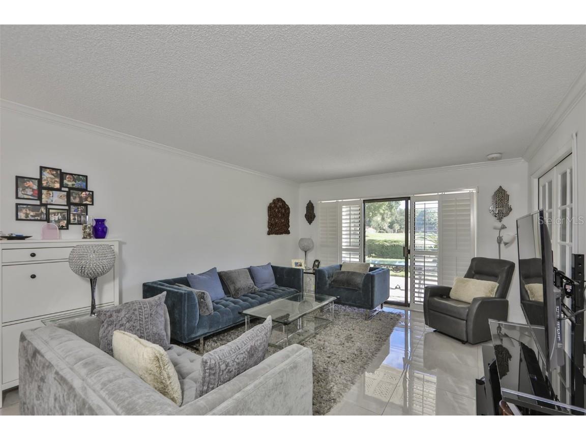 29129 S Bay Hollow Drive S #3213 Wesley Chapel FL 33543 TB8305289 image5