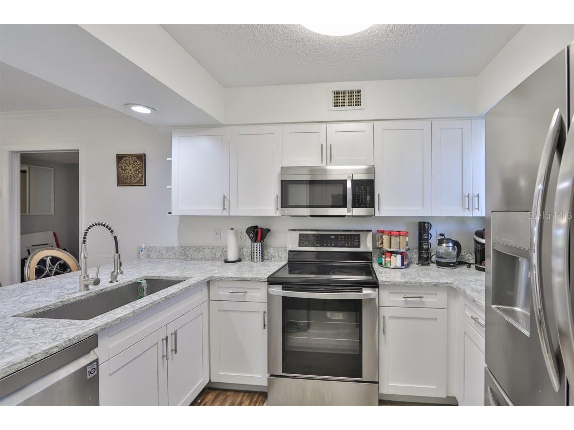 29129 S Bay Hollow Drive S #3213 Wesley Chapel FL 33543 TB8305289 image8