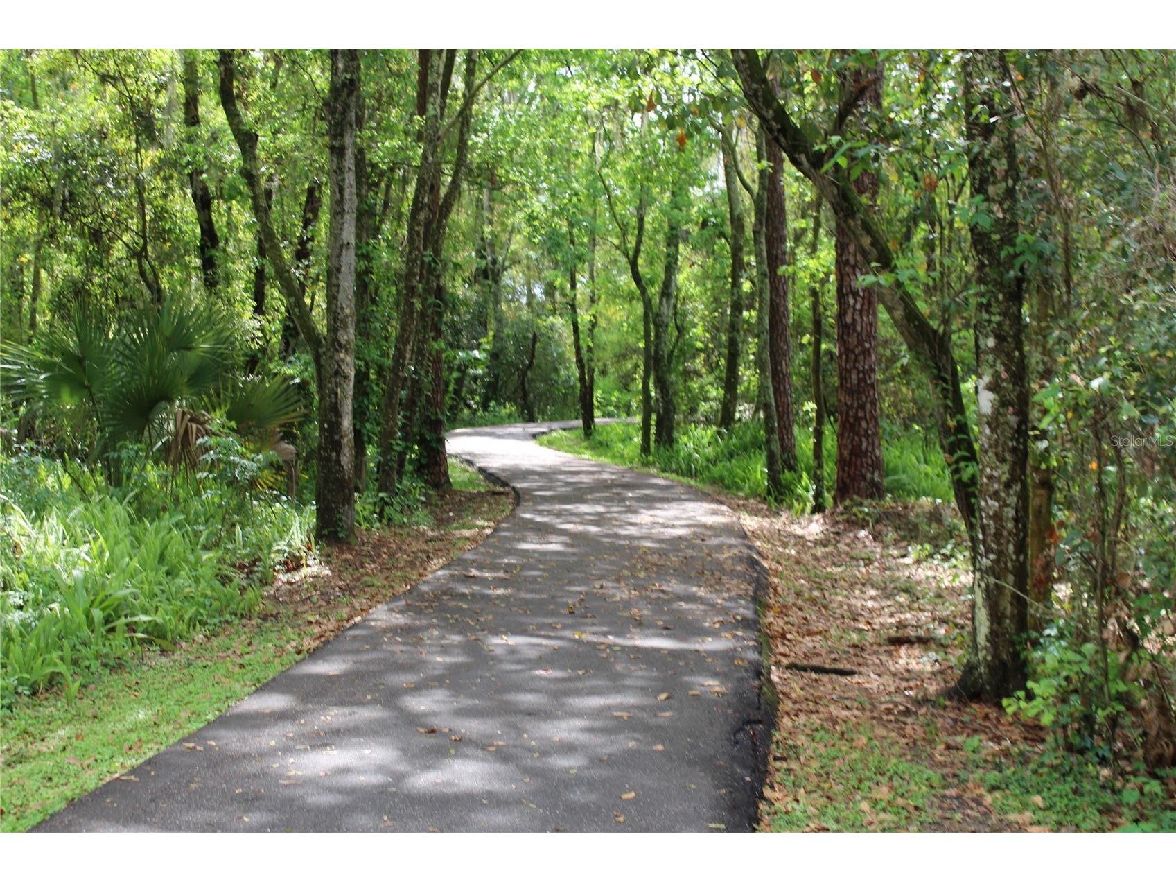 2913 Aston Avenue Plant City FL 33566 O6378989 image68