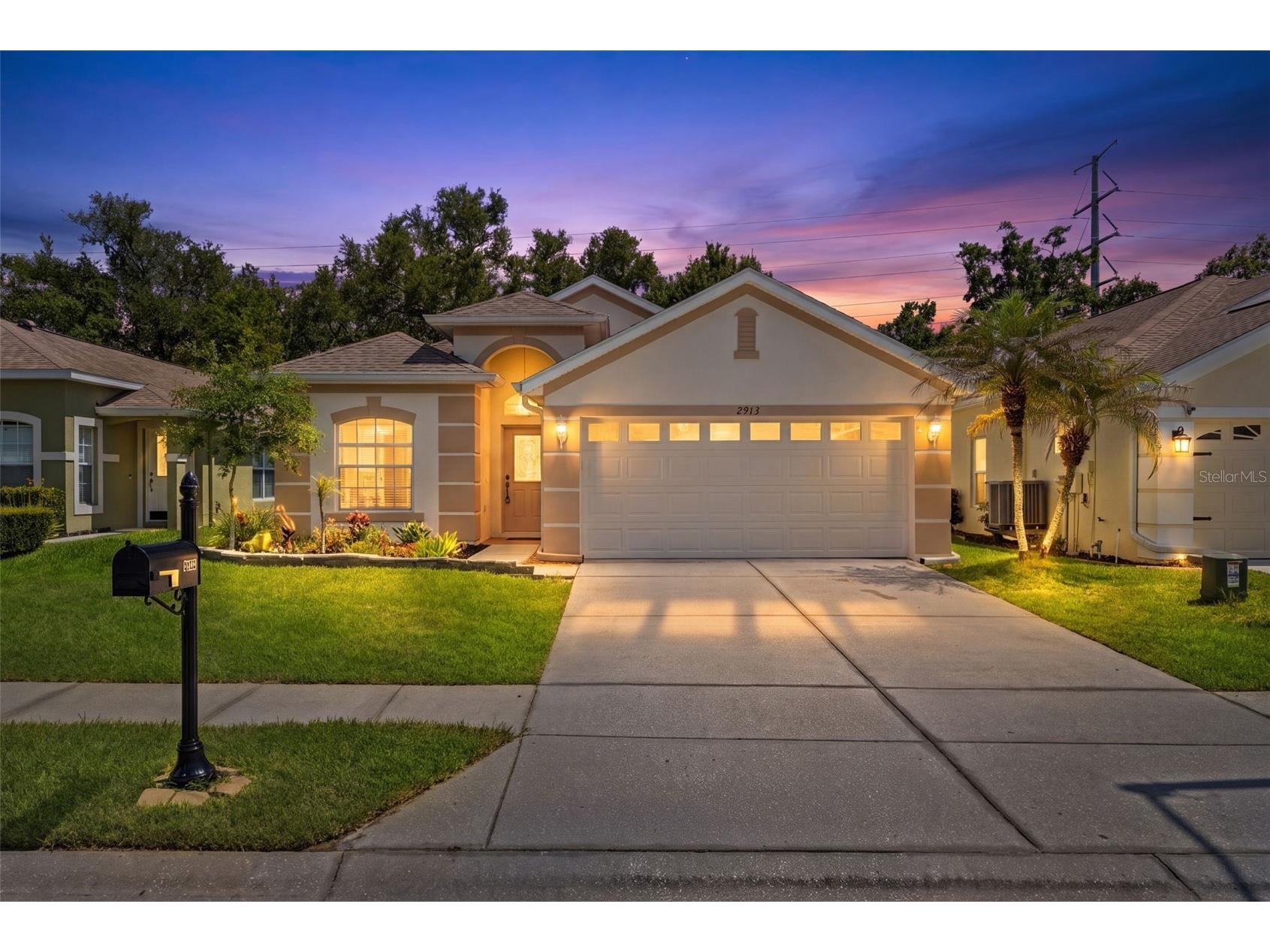 2913 Banyan Hill Lane Land O Lakes FL 34639 TB8523272 image1