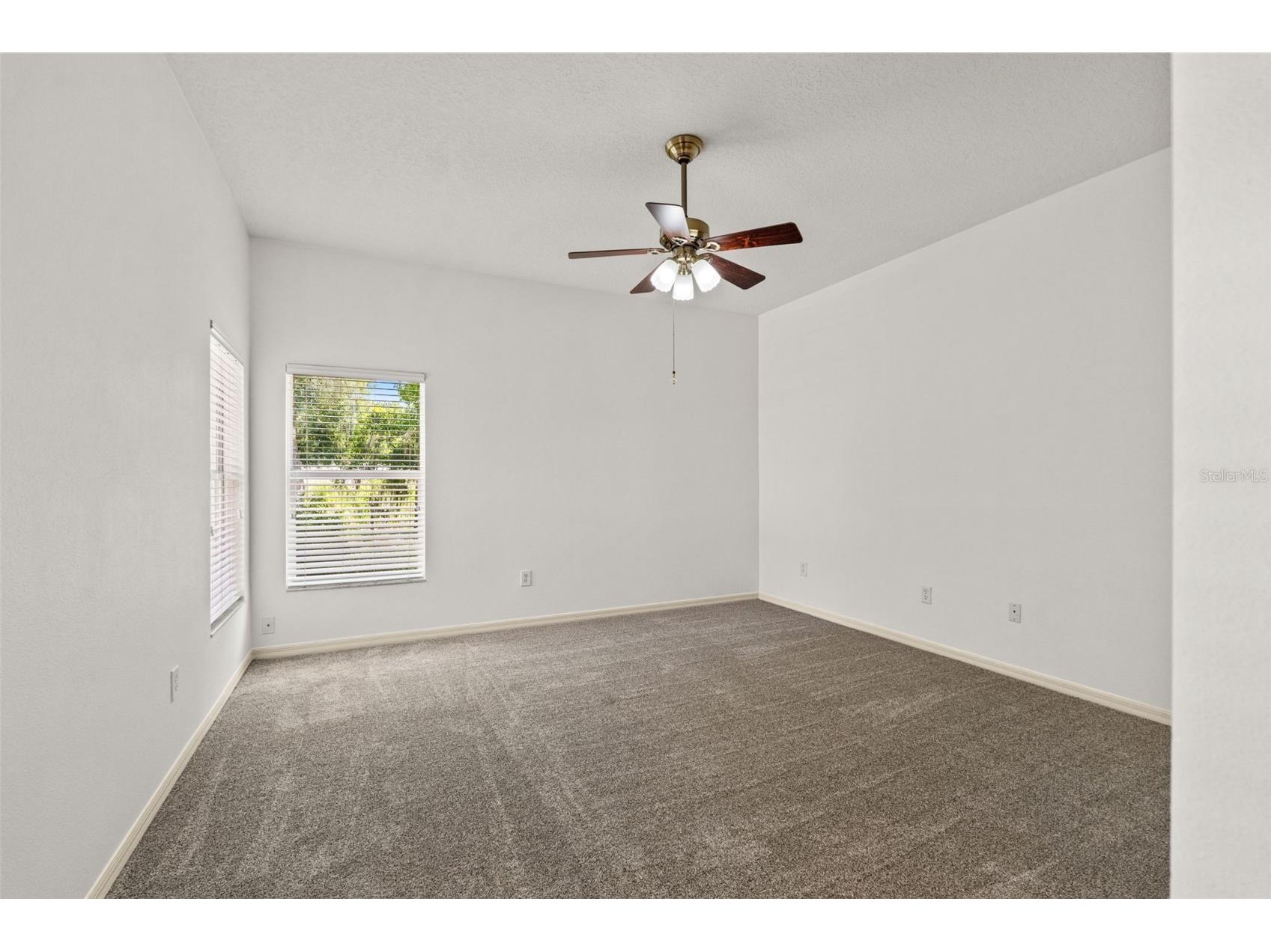 2913 Banyan Hill Lane Land O Lakes FL 34639 TB8523272 image19
