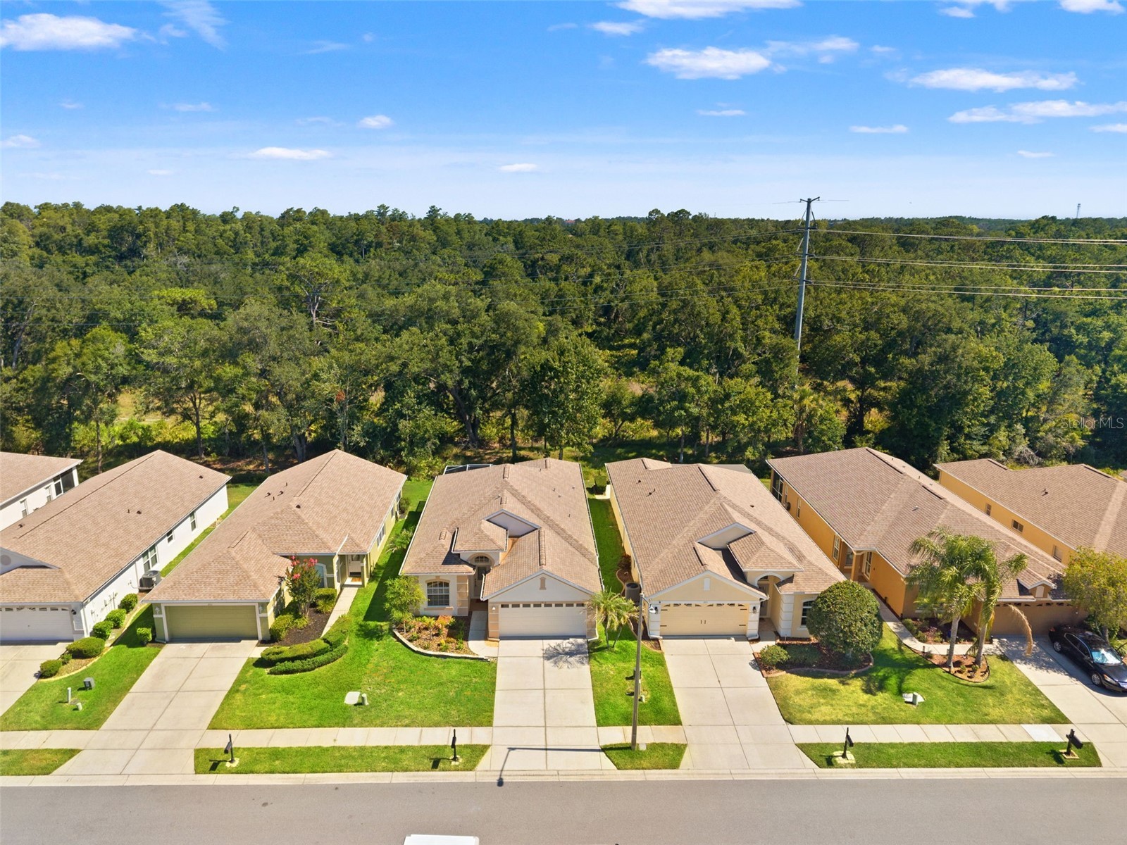 2913 Banyan Hill Lane Land O Lakes FL 34639 TB8523272 image2