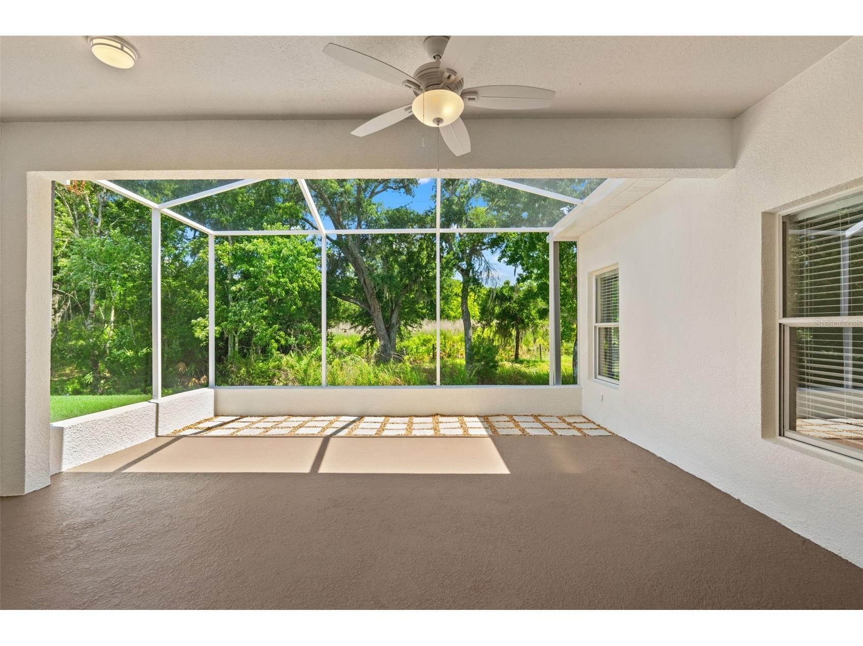 2913 Banyan Hill Lane Land O Lakes FL 34639 TB8523272 image33