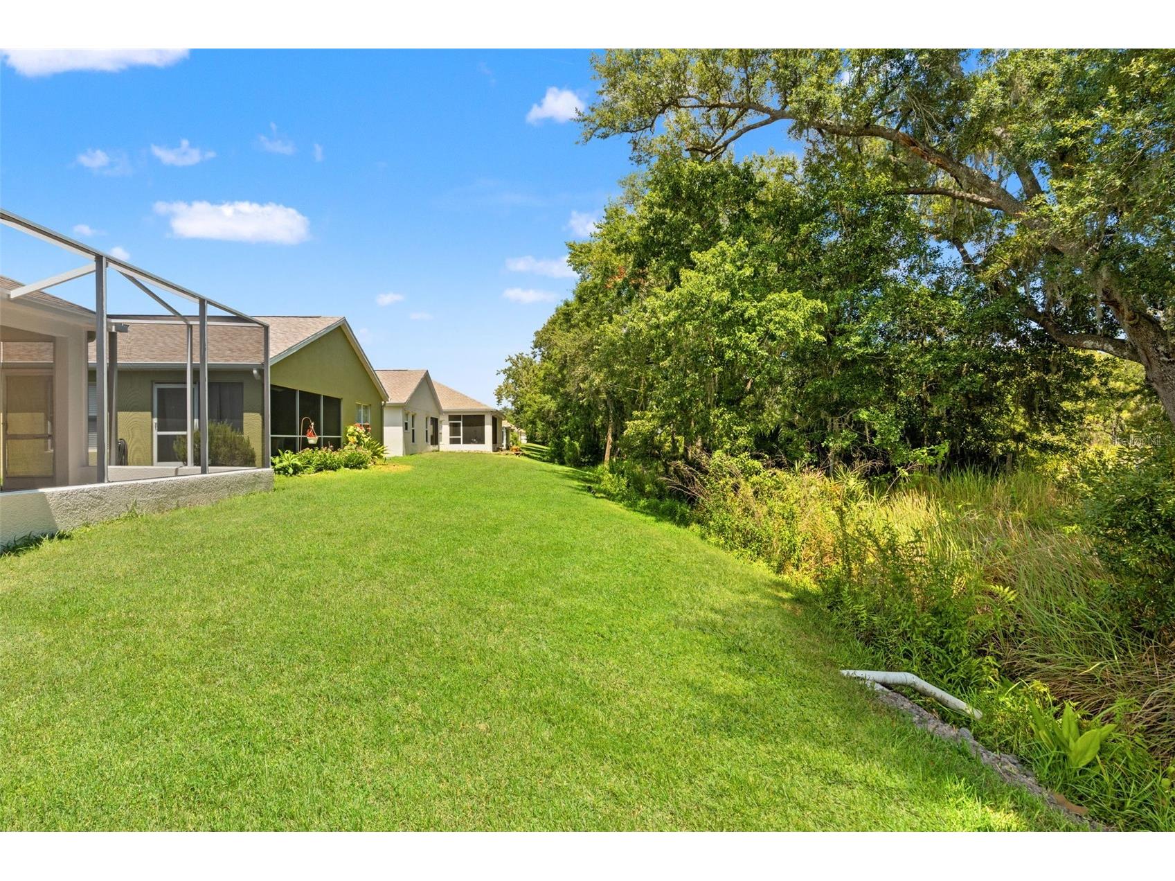 2913 Banyan Hill Lane Land O Lakes FL 34639 TB8523272 image37