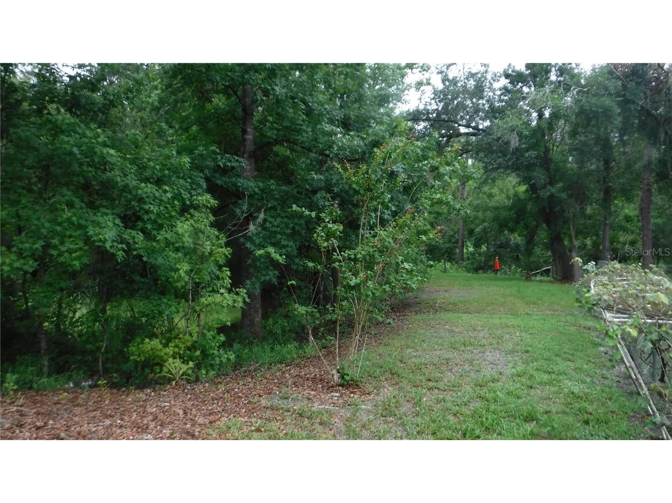 2913 Deerbrook Drive Lakeland FL 33811 R4909424 image24