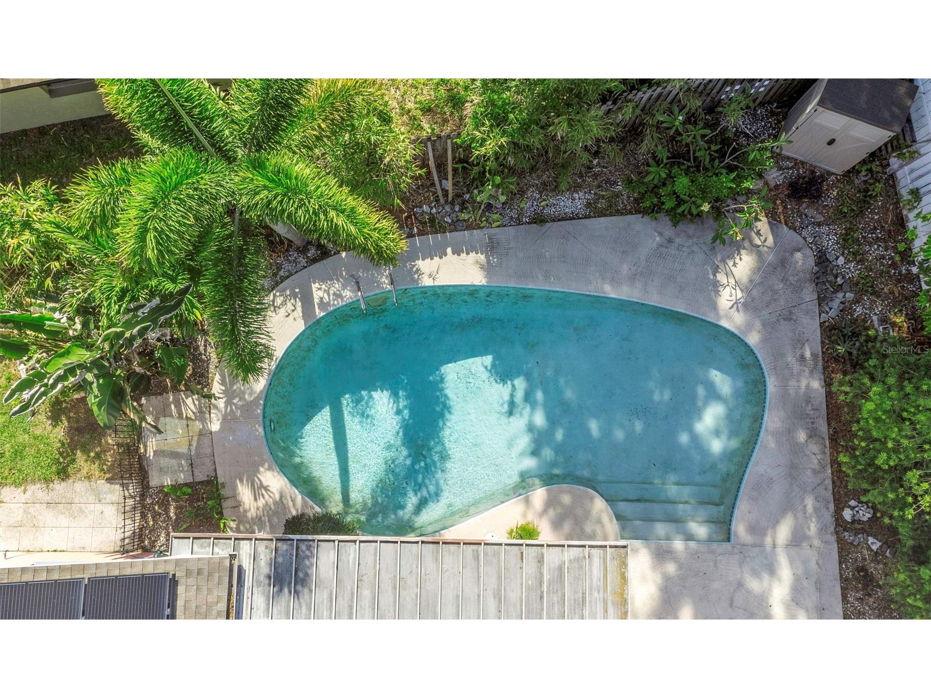 2913 Fairfield Court Dunedin FL 34698 TB8504518 image40