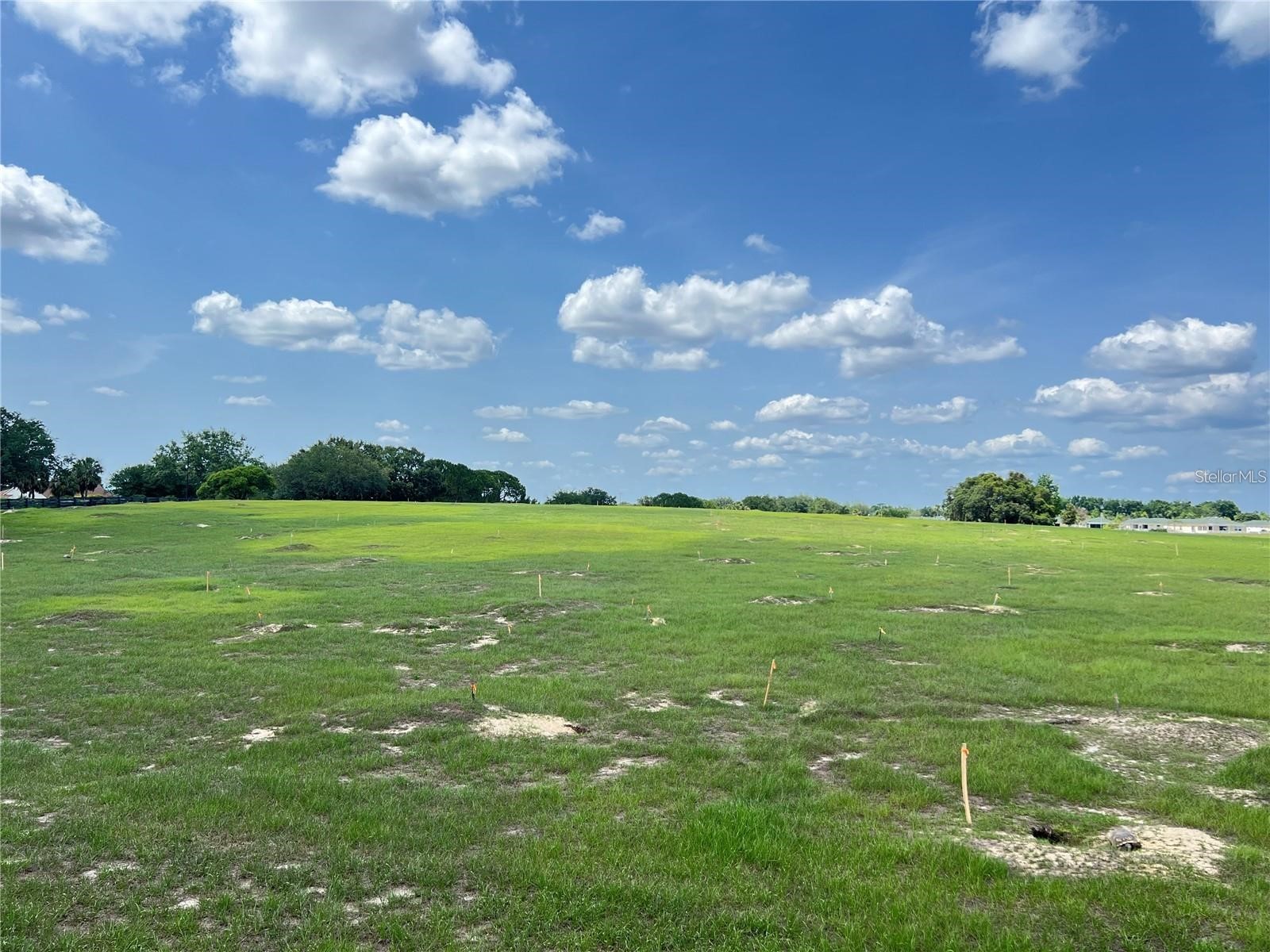 2913 Panchos Way The Villages FL 32162 OM727525 image32