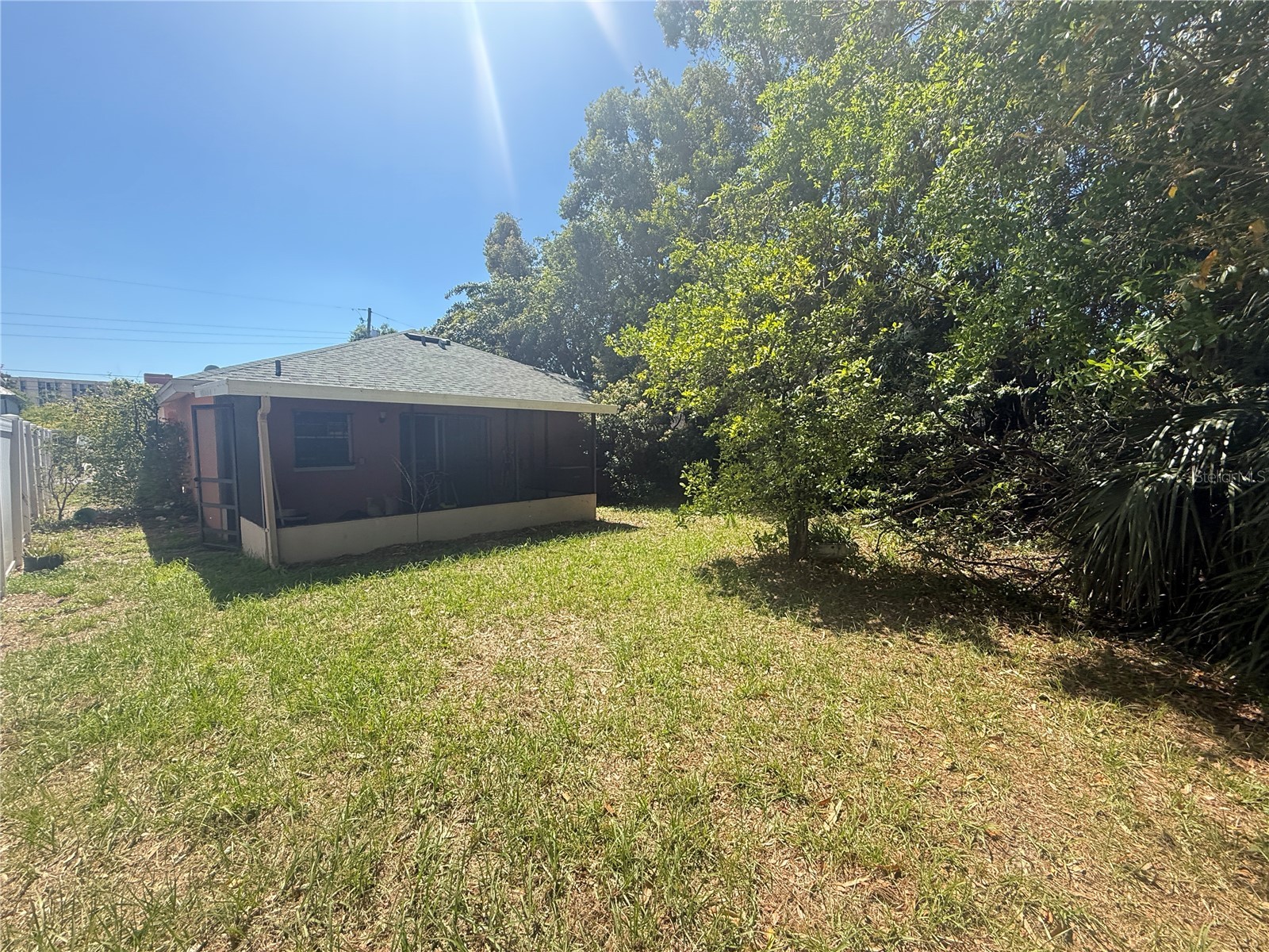 2913 W Kathleen Street Tampa FL 33607 TB8476785 image5