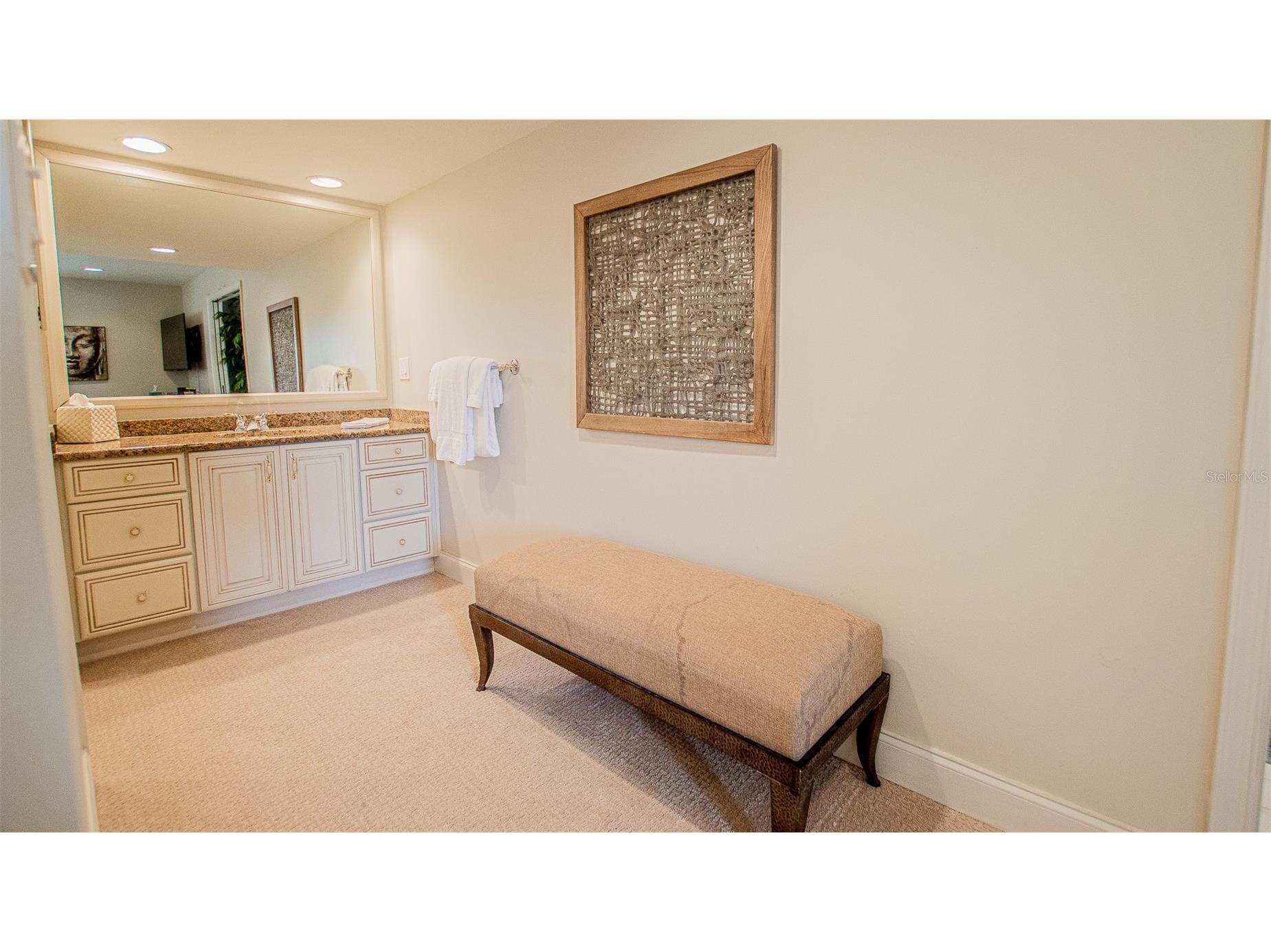 29130 Bay Hollow Drive #3309 Wesley Chapel FL 33543 TB8435115 image15