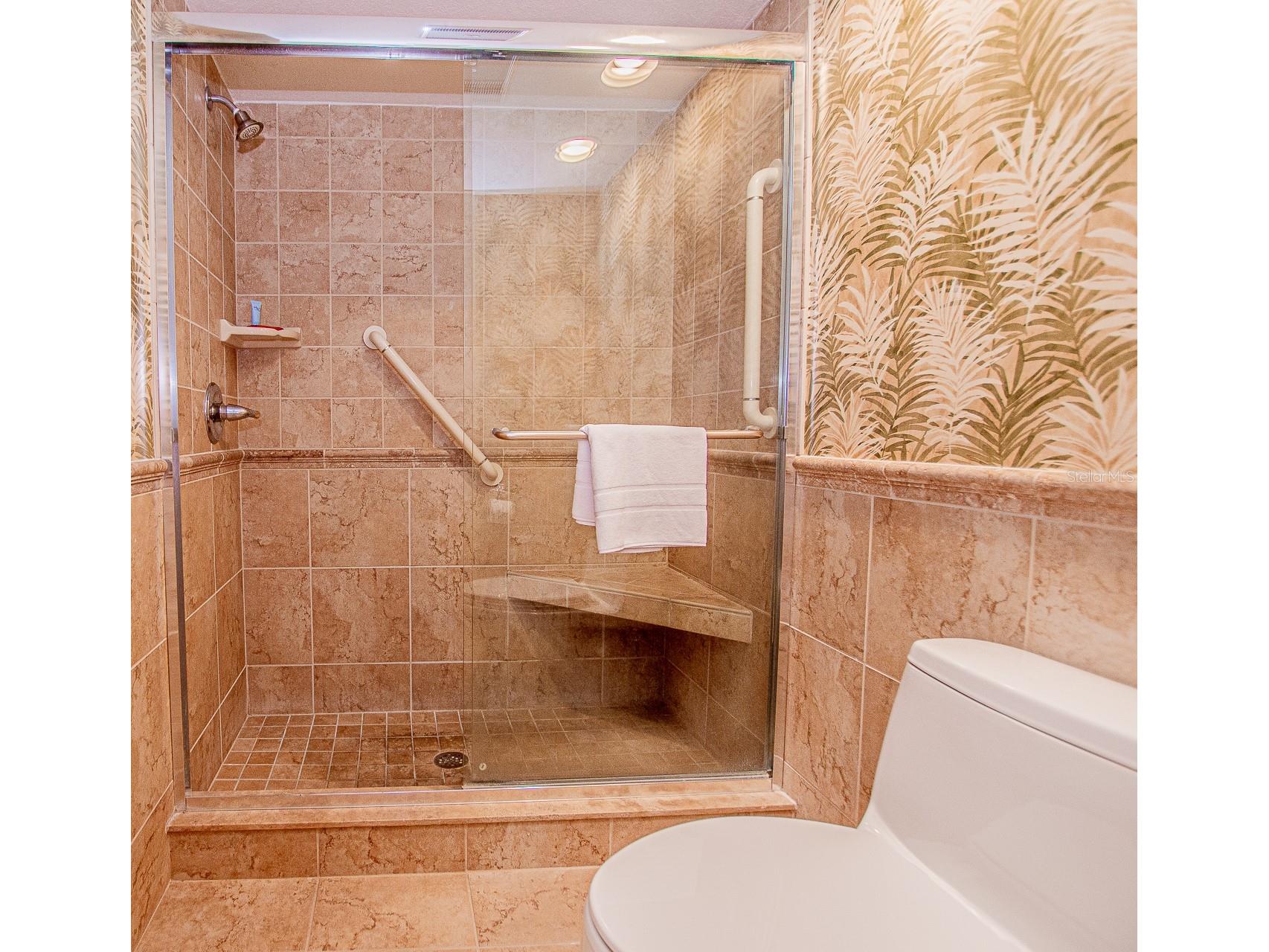 29130 Bay Hollow Drive #3309 Wesley Chapel FL 33543 TB8435115 image16