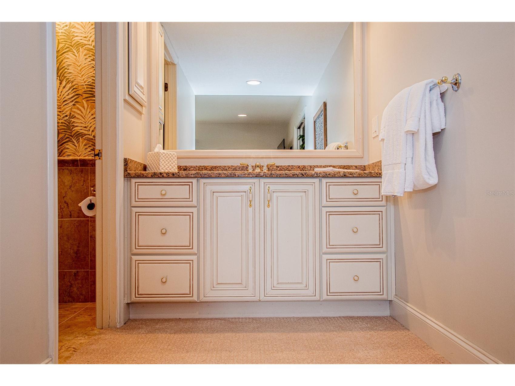 29130 Bay Hollow Drive #3309 Wesley Chapel FL 33543 TB8435115 image17