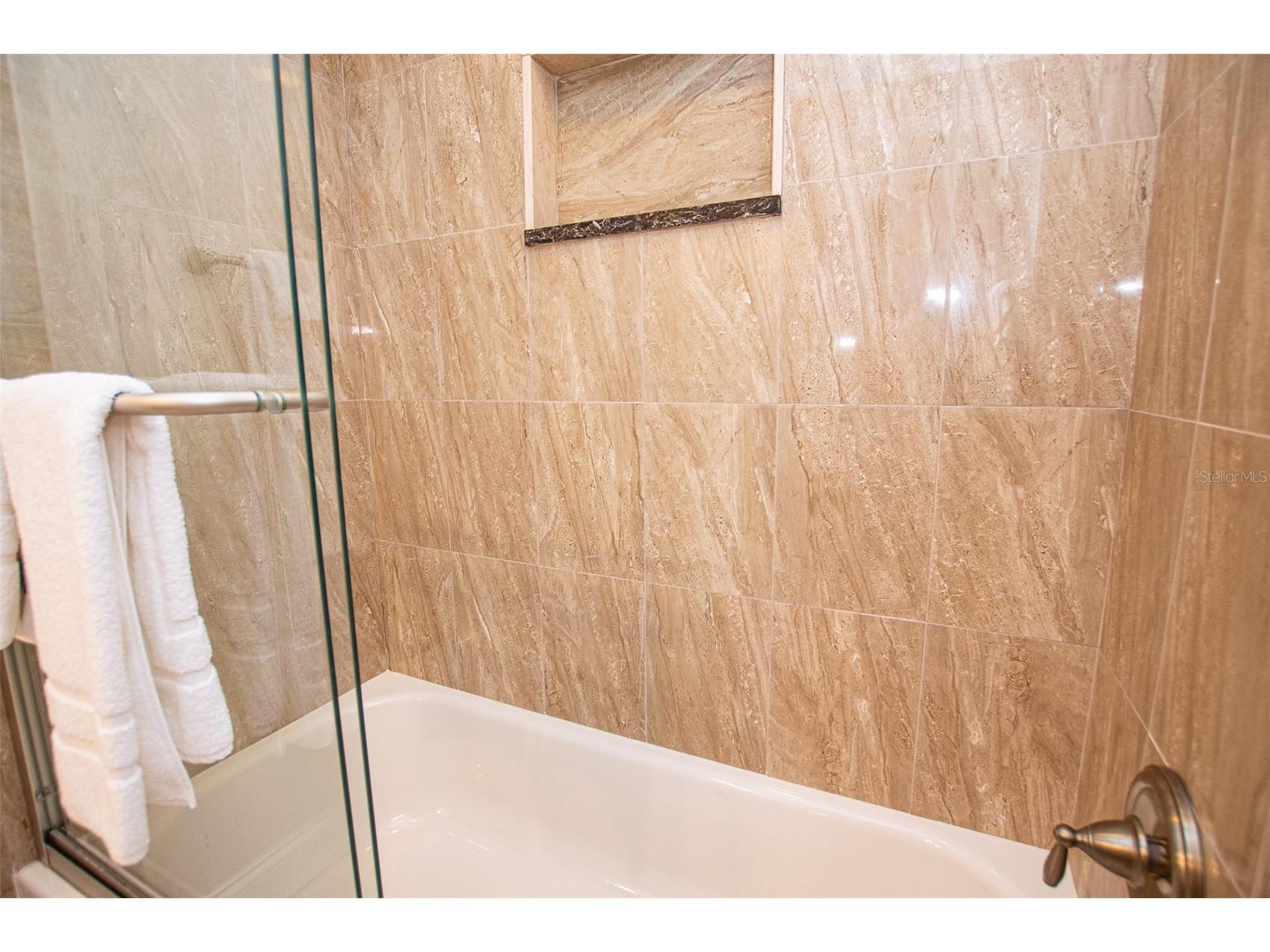 29130 Bay Hollow Drive #3309 Wesley Chapel FL 33543 TB8435115 image20
