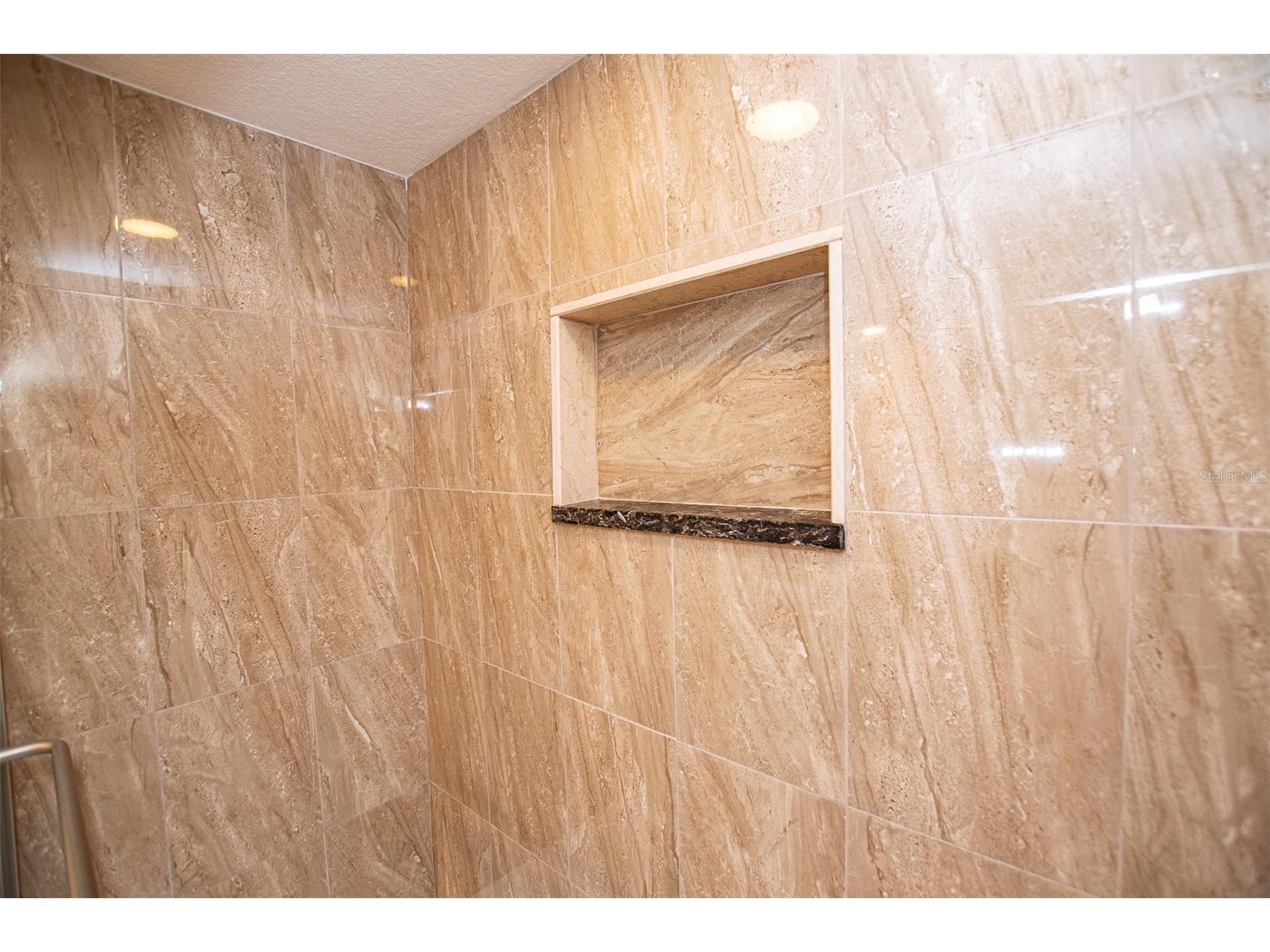 29130 Bay Hollow Drive #3309 Wesley Chapel FL 33543 TB8435115 image21