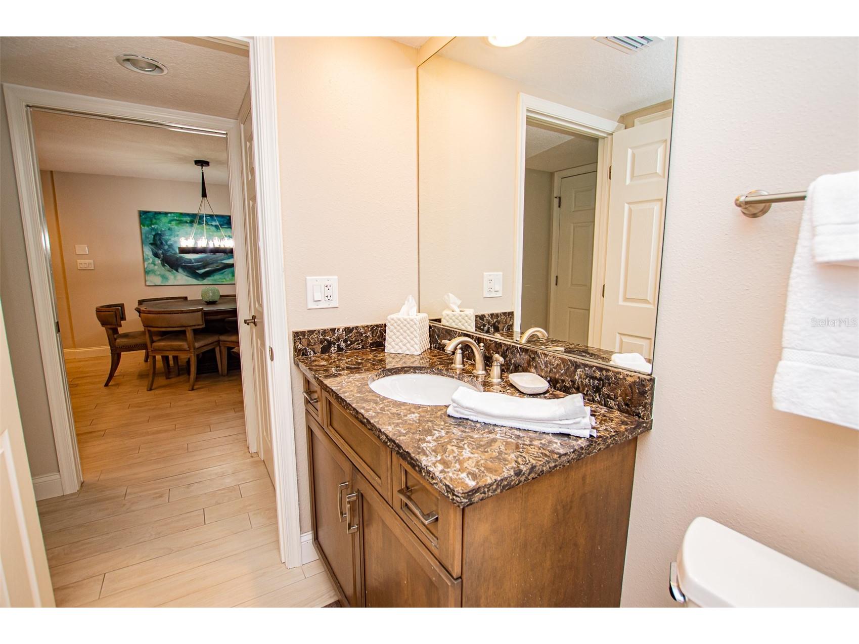29130 Bay Hollow Drive #3309 Wesley Chapel FL 33543 TB8435115 image22