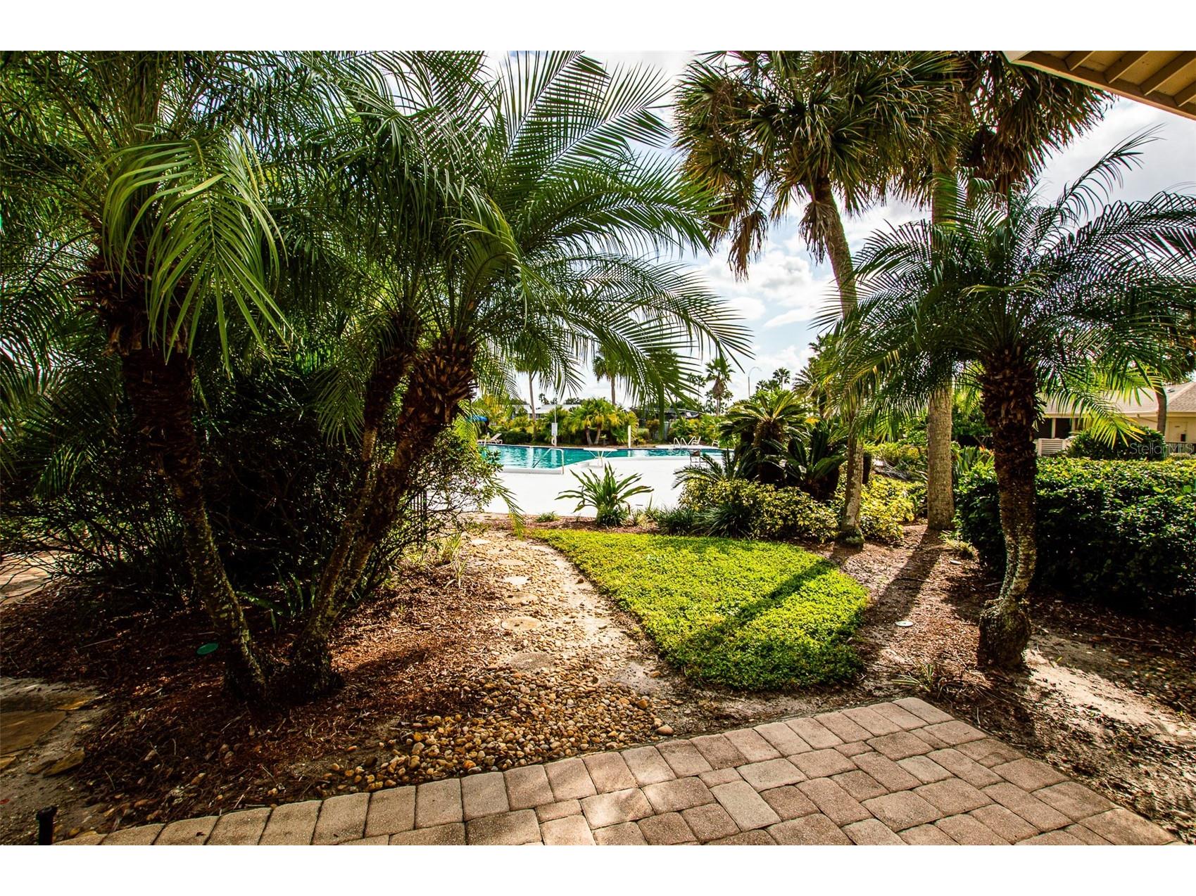29130 Bay Hollow Drive #3309 Wesley Chapel FL 33543 TB8435115 image25
