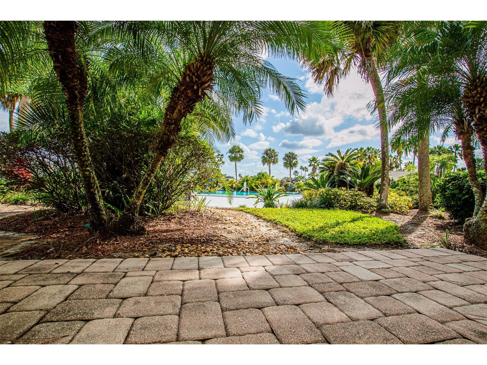 29130 Bay Hollow Drive #3309 Wesley Chapel FL 33543 TB8435115 image26