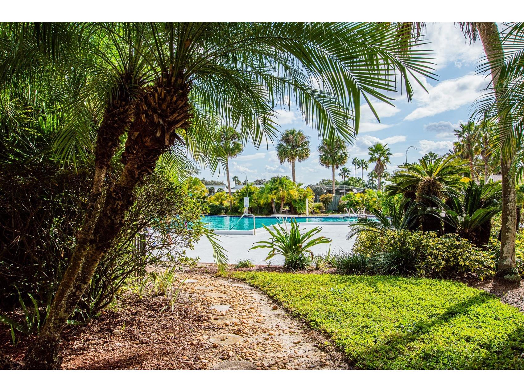 29130 Bay Hollow Drive #3309 Wesley Chapel FL 33543 TB8435115 image27