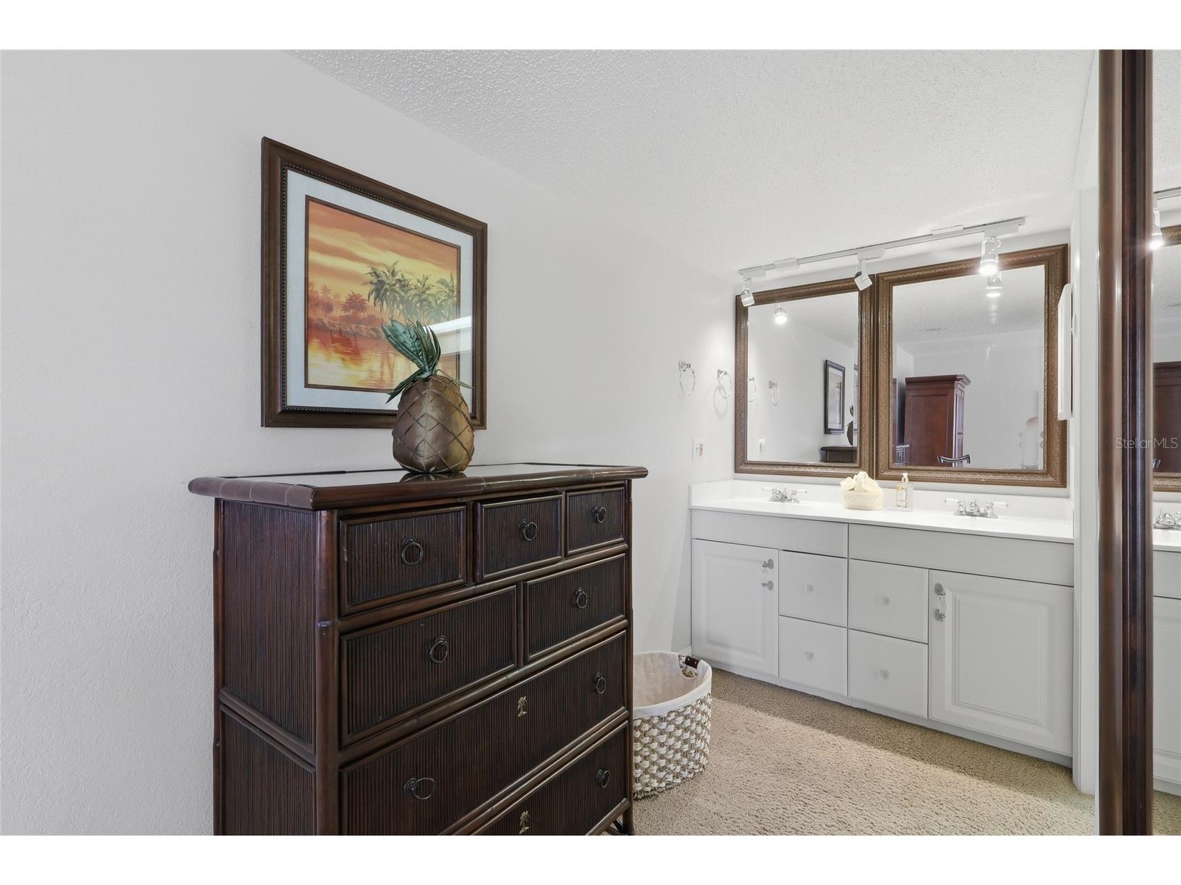 29130 Bay Hollow Drive #3312 Wesley Chapel FL 33543 TB8503721 image16