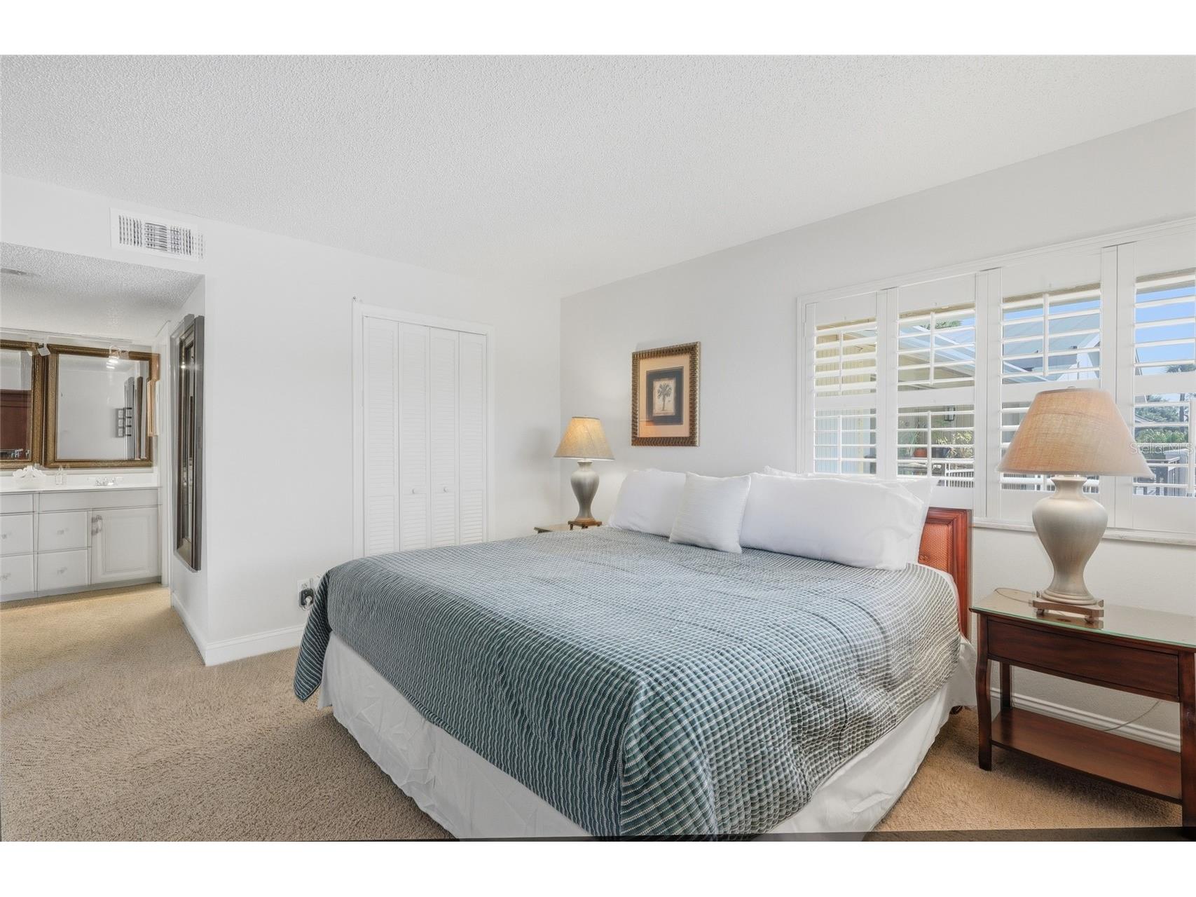 29130 Bay Hollow Drive #3312 Wesley Chapel FL 33543 TB8503721 image17