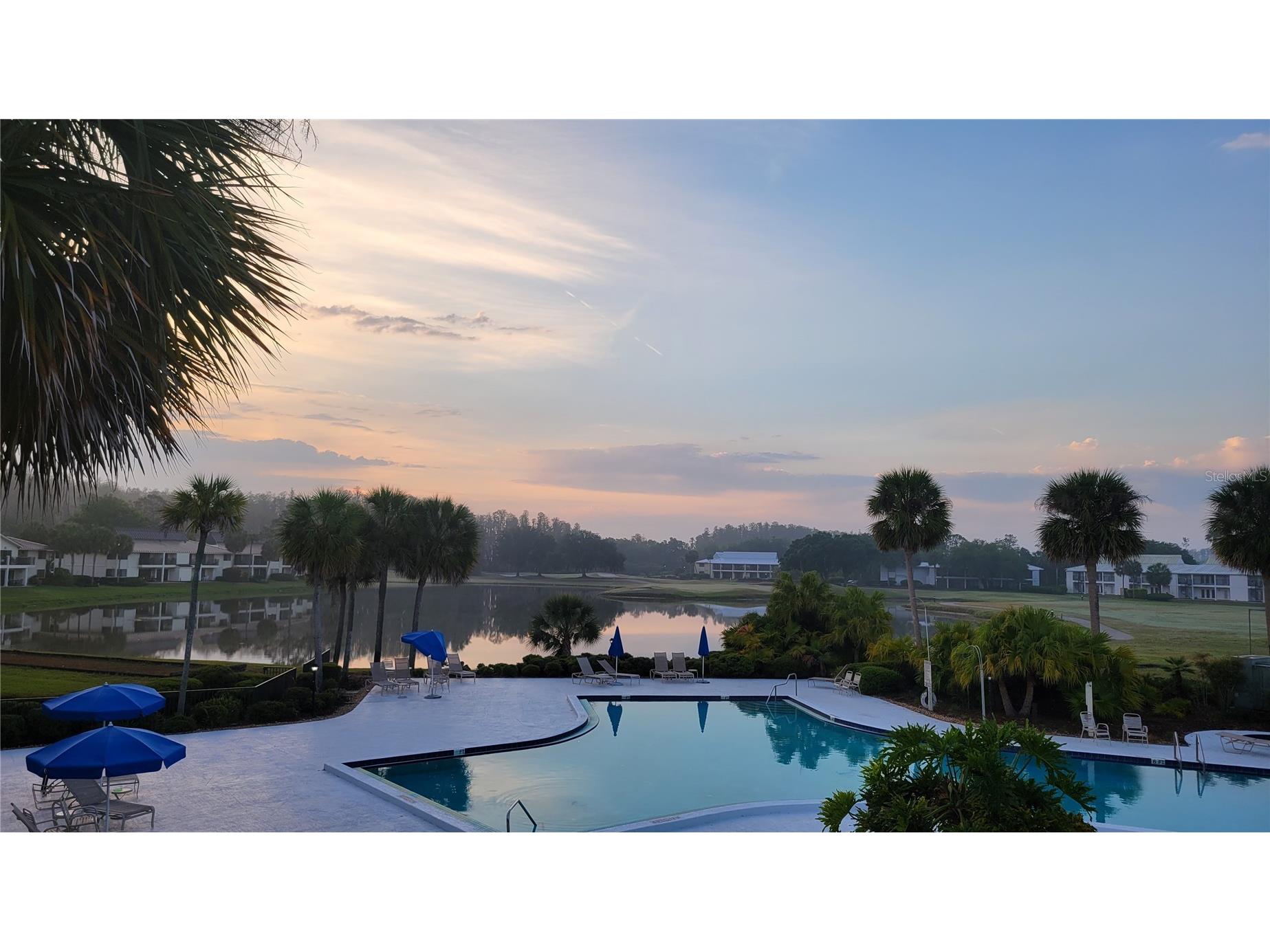 29130 Bay Hollow Drive #3312 Wesley Chapel FL 33543 TB8503721 image26