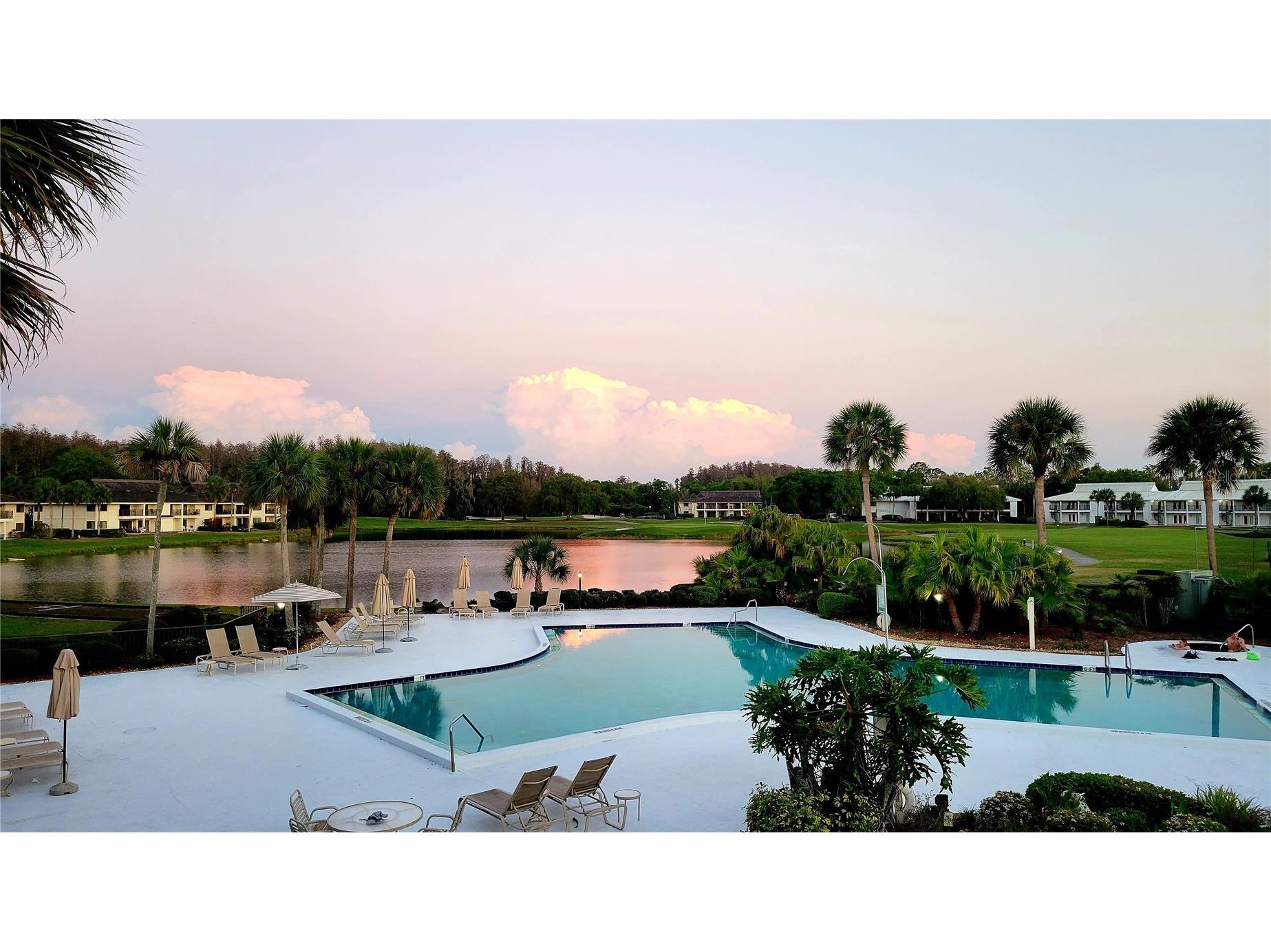 29130 Bay Hollow Drive #3312 Wesley Chapel FL 33543 TB8503721 image5
