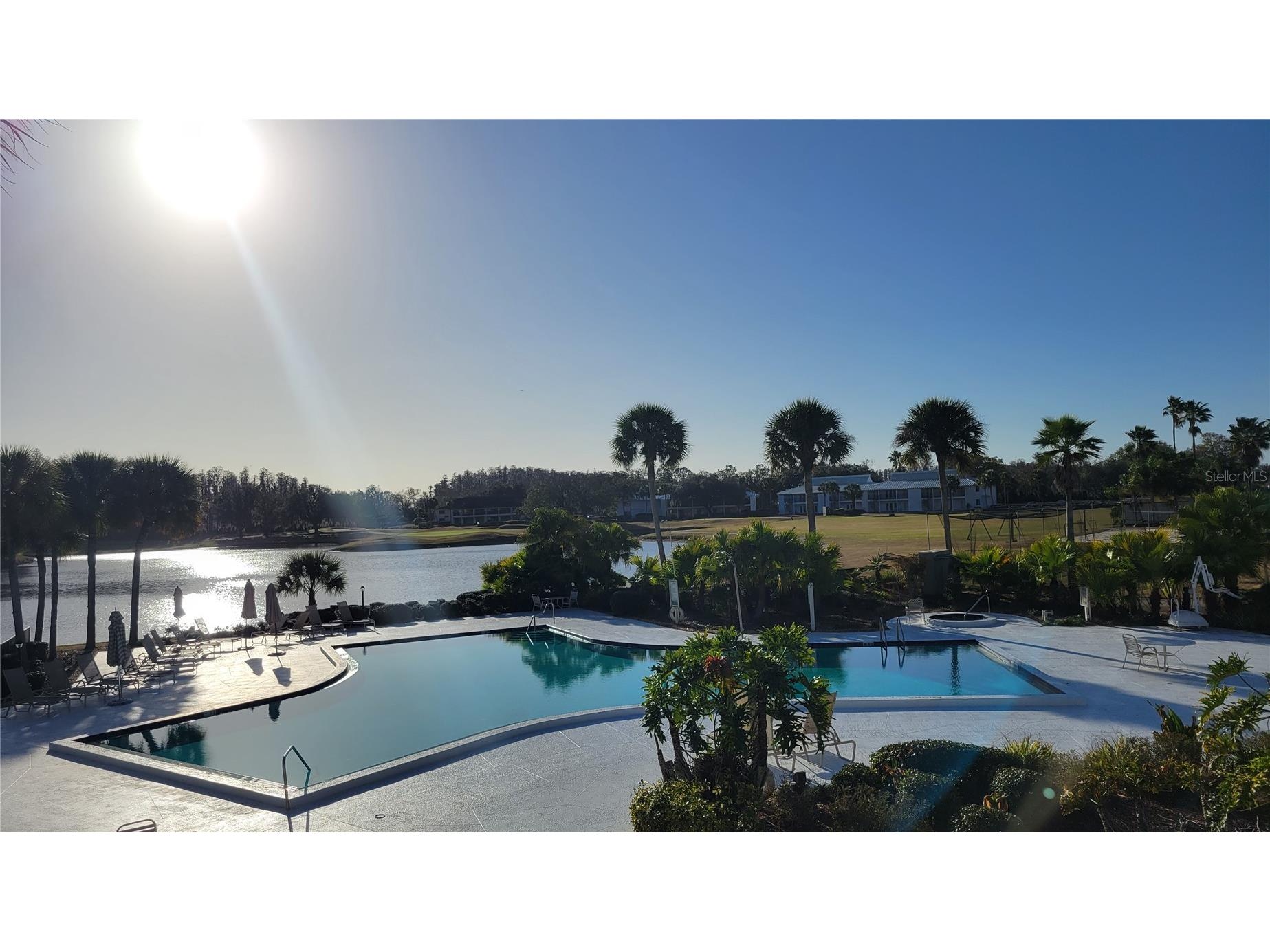 29130 Bay Hollow Drive #3312 Wesley Chapel FL 33543 TB8503721 image6