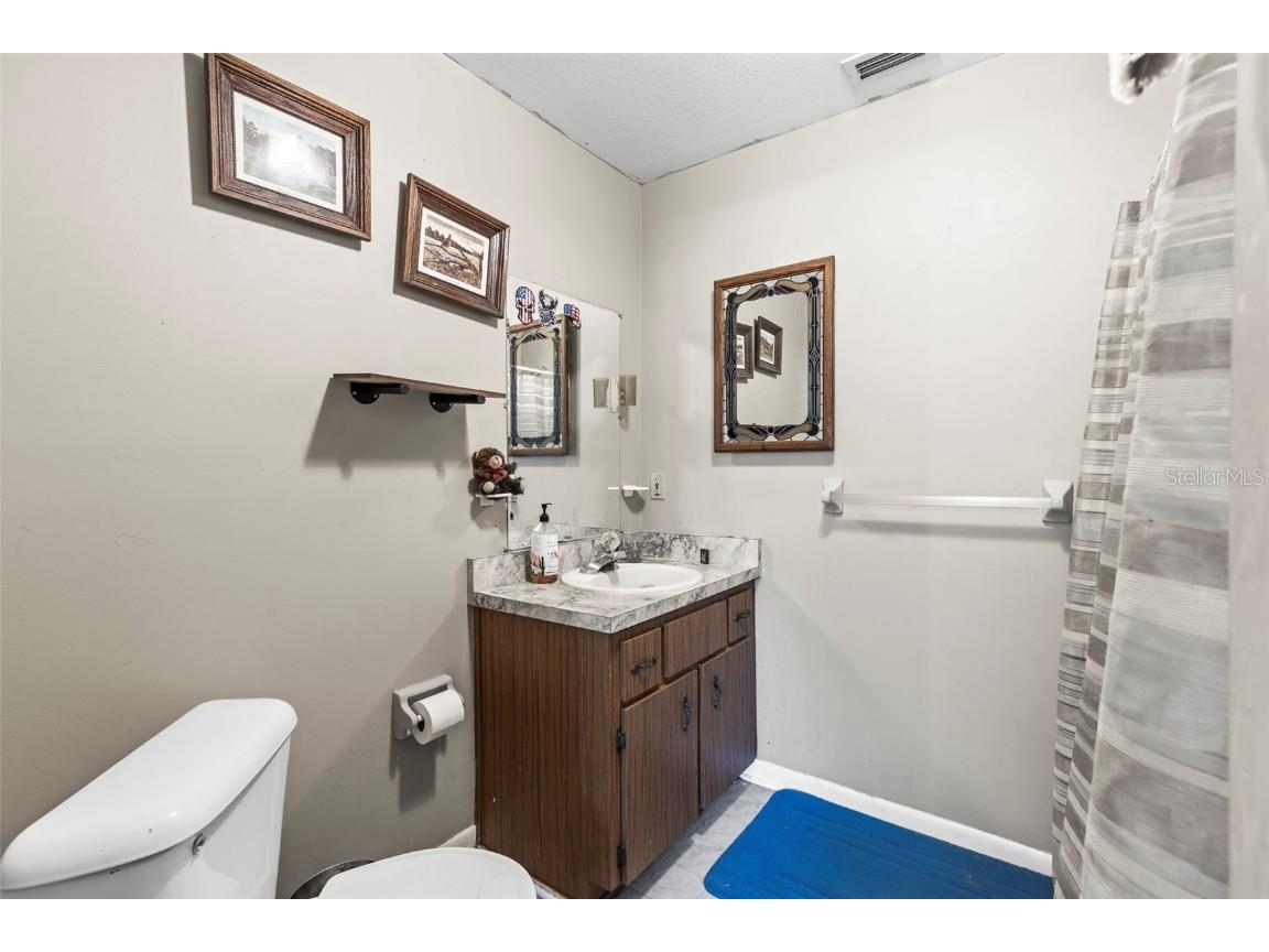 29133 Lawton Drive Nobleton FL 34661 - WITHLACOOCHEE RIVER TB8376044 image19