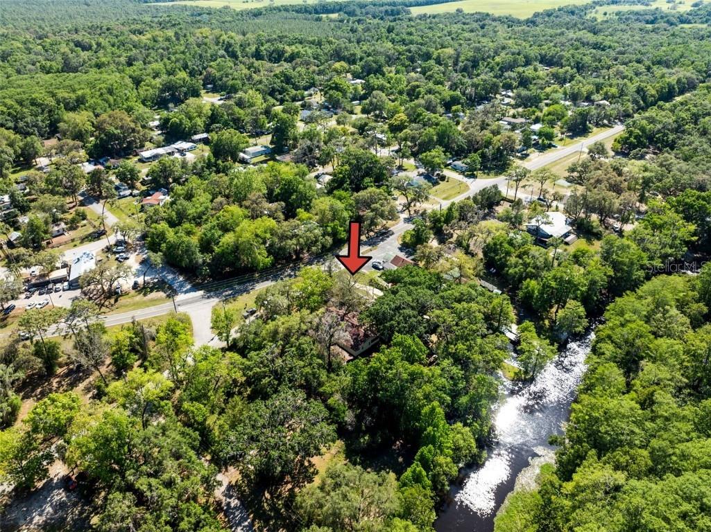 29133 Lawton Drive Nobleton FL 34661 - WITHLACOOCHEE RIVER TB8376044 image2