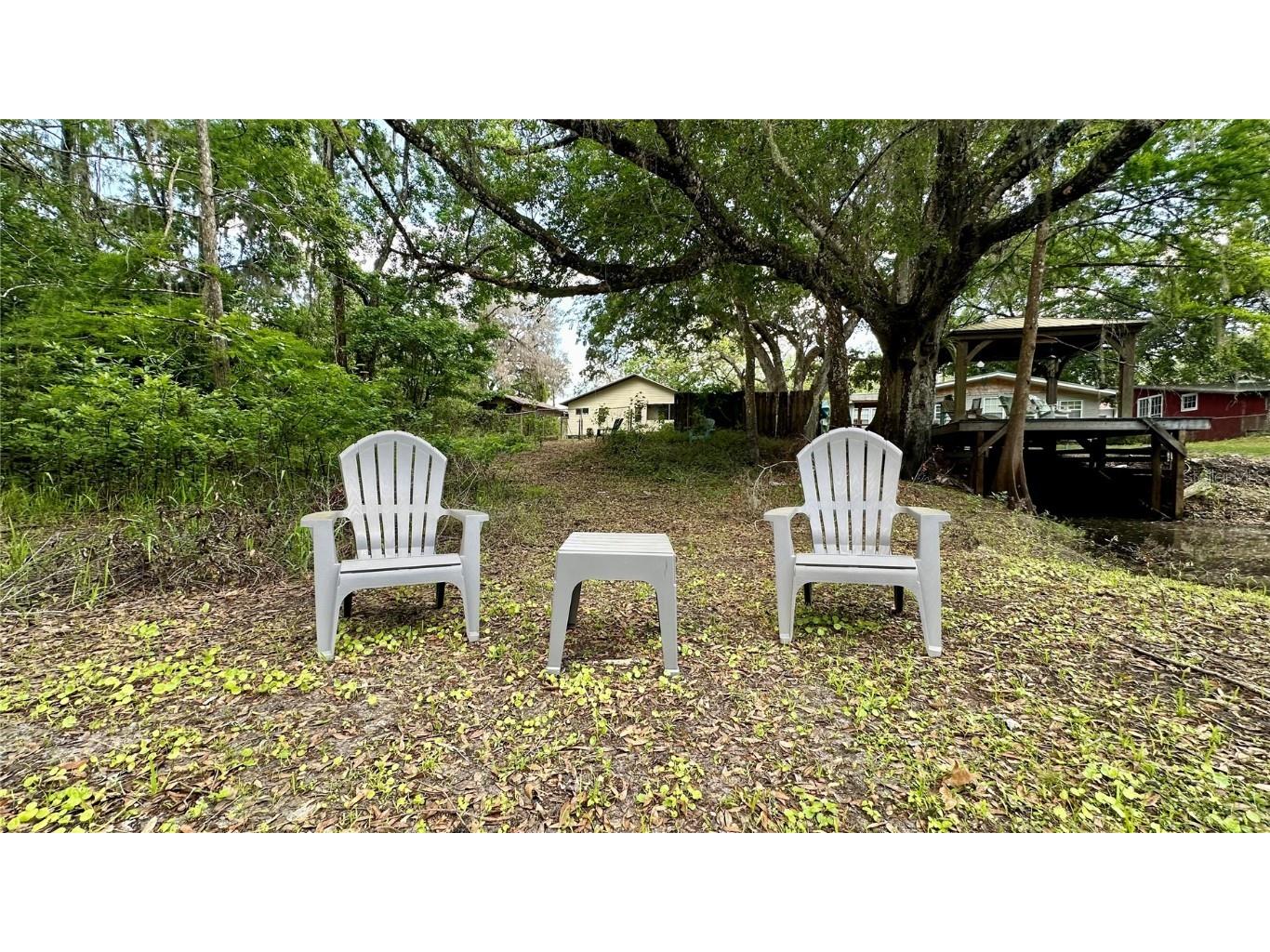 29133 Lawton Drive Nobleton FL 34661 - WITHLACOOCHEE RIVER TB8376044 image32