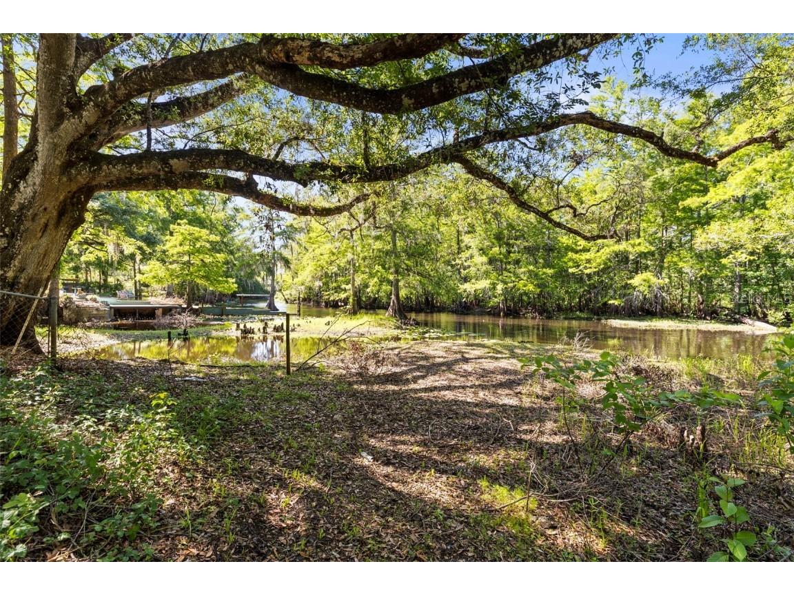 29133 Lawton Drive Nobleton FL 34661 - WITHLACOOCHEE RIVER TB8376044 image33