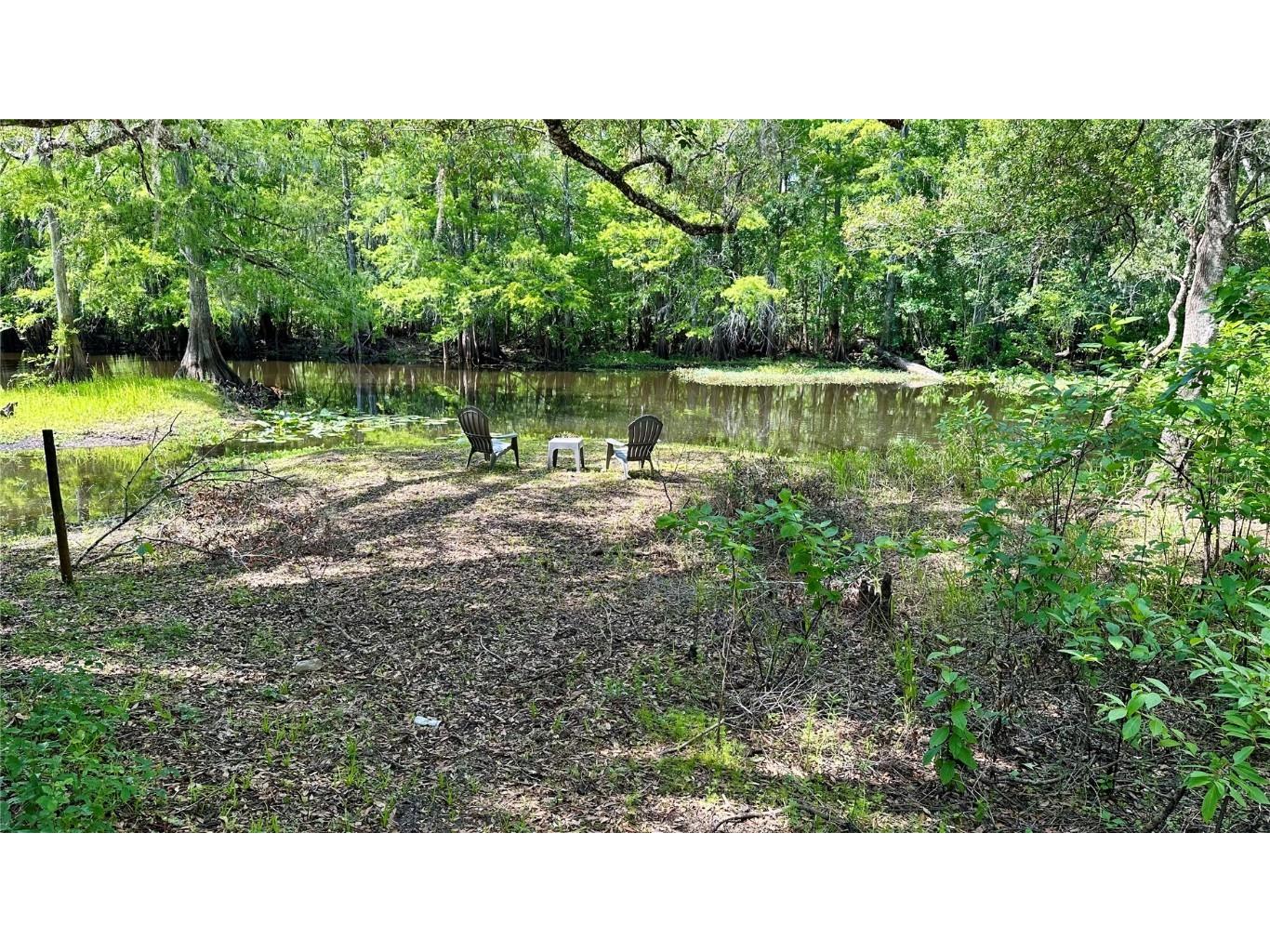 29133 Lawton Drive Nobleton FL 34661 - WITHLACOOCHEE RIVER TB8376044 image34