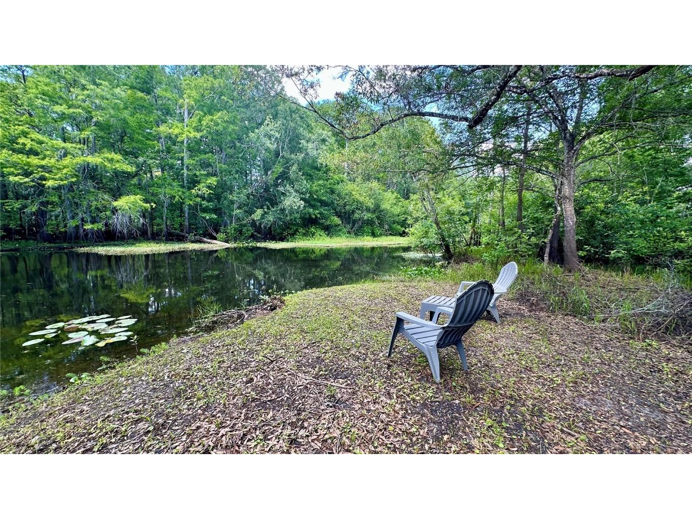 29133 Lawton Drive Nobleton FL 34661 - WITHLACOOCHEE RIVER TB8376044 image35