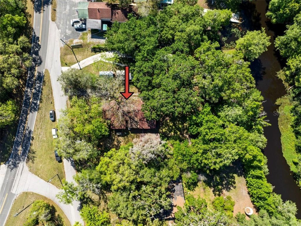 29133 Lawton Drive Nobleton FL 34661 - WITHLACOOCHEE RIVER TB8376044 image37