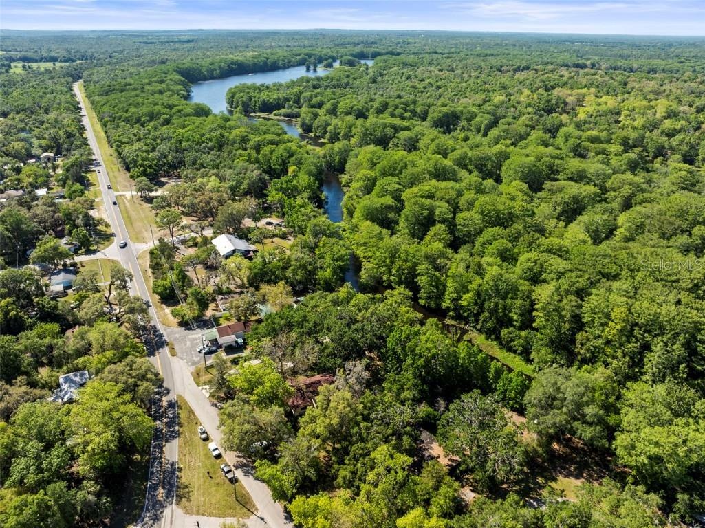 29133 Lawton Drive Nobleton FL 34661 - WITHLACOOCHEE RIVER TB8376044 image38