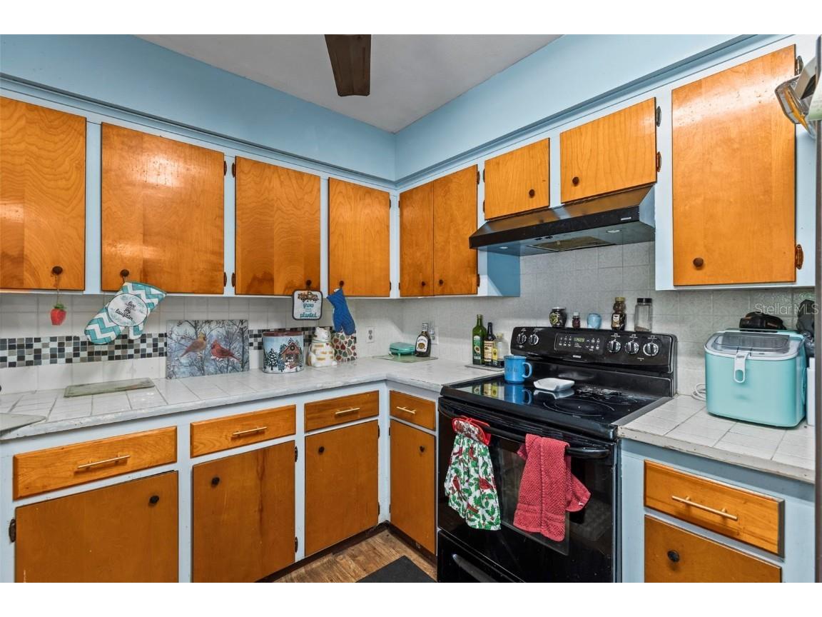 29133 Lawton Drive Nobleton FL 34661 - WITHLACOOCHEE RIVER TB8376044 image9