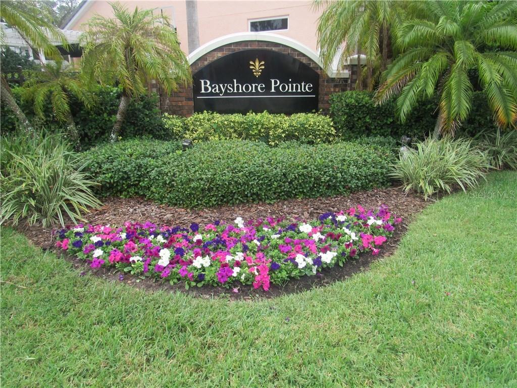 2914 Bayshore Pointe Drive Tampa FL 33611 TB8512568 image21
