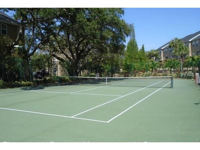 2914 Bayshore Pointe Drive Tampa FL 33611 TB8512568 image24