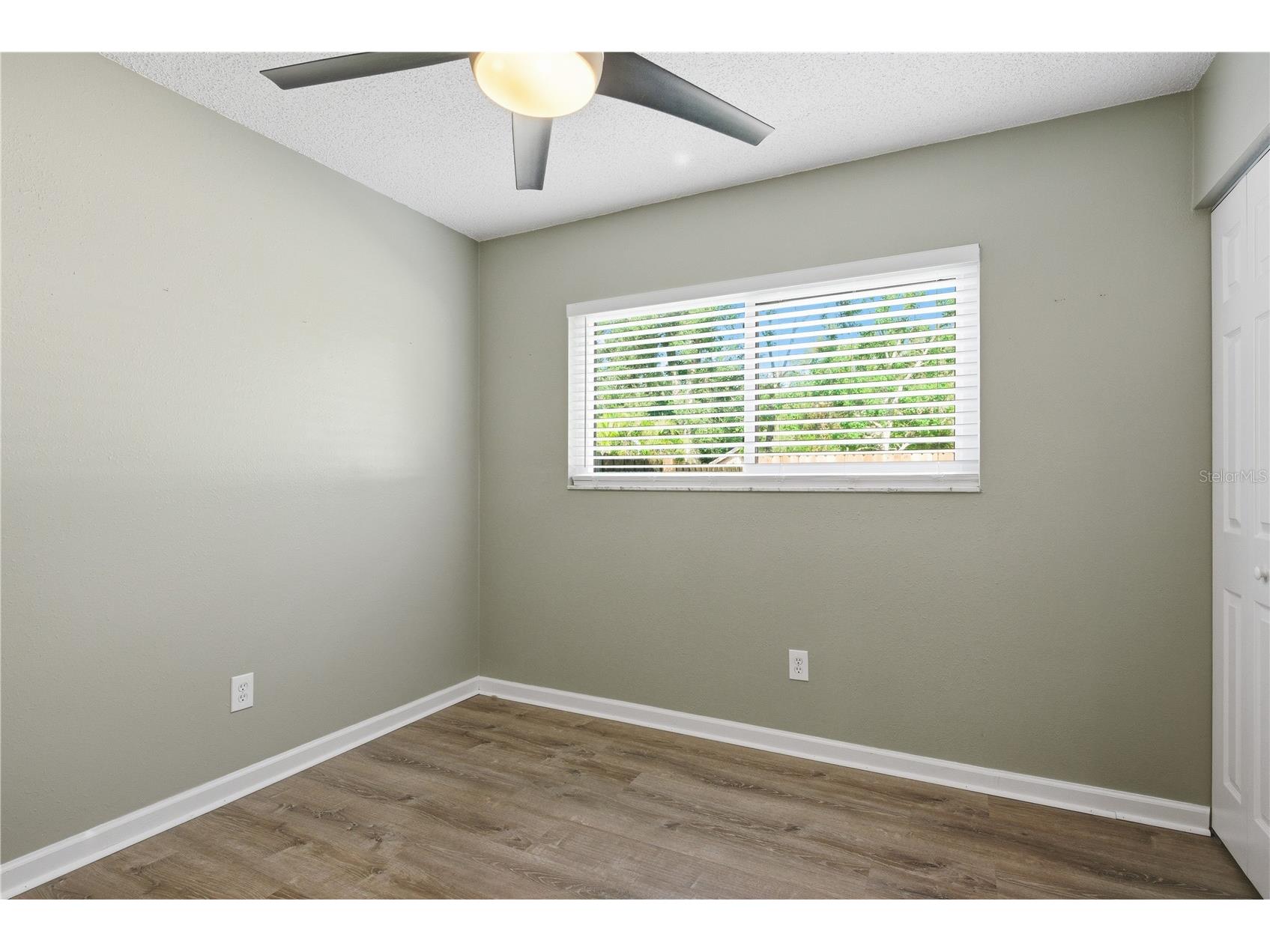 2914 Cypress Green Drive Palm Harbor FL 34684 TB8513249 image22