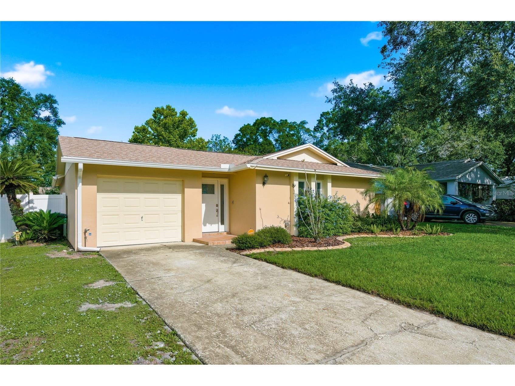 2914 Cypress Green Drive Palm Harbor FL 34684 TB8513249 image3