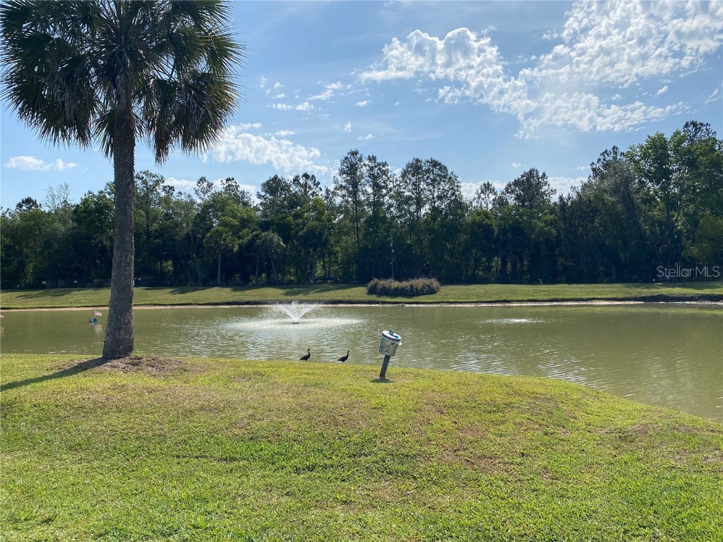 2914 NE 103rd Avenue Silver Springs FL 34488 TB8382522 image13