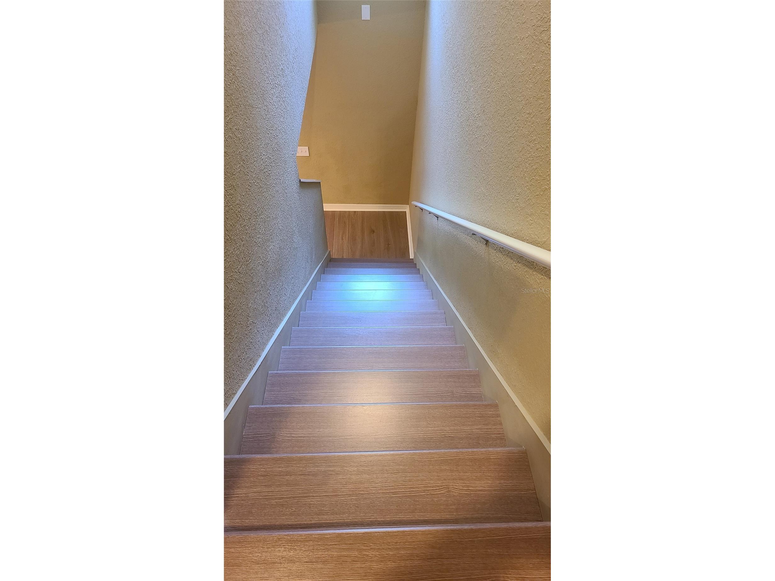 2914 Royal Tuscan Lane Valrico FL 33594 TB8527698 image17