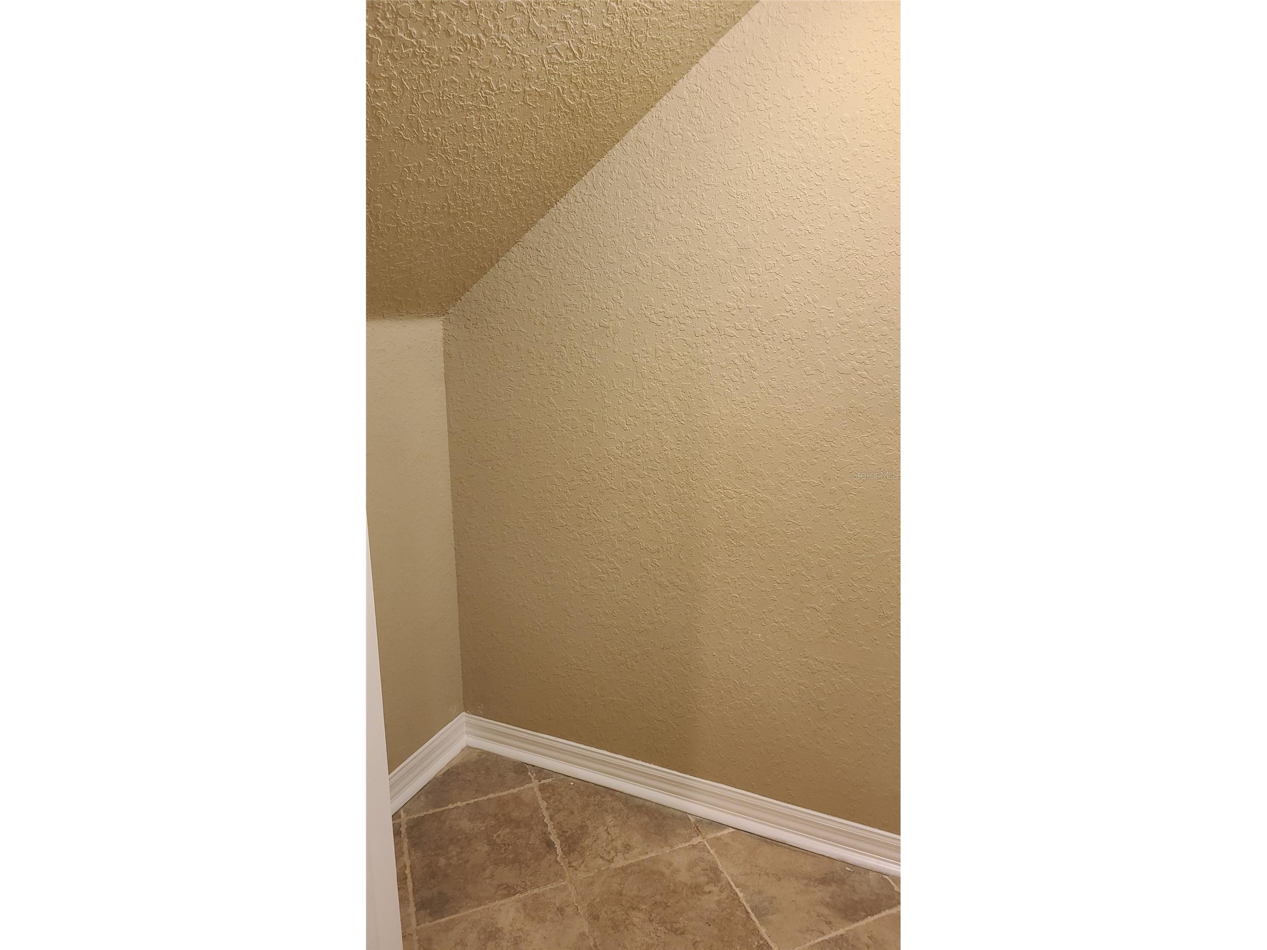2914 Royal Tuscan Lane Valrico FL 33594 TB8527698 image33