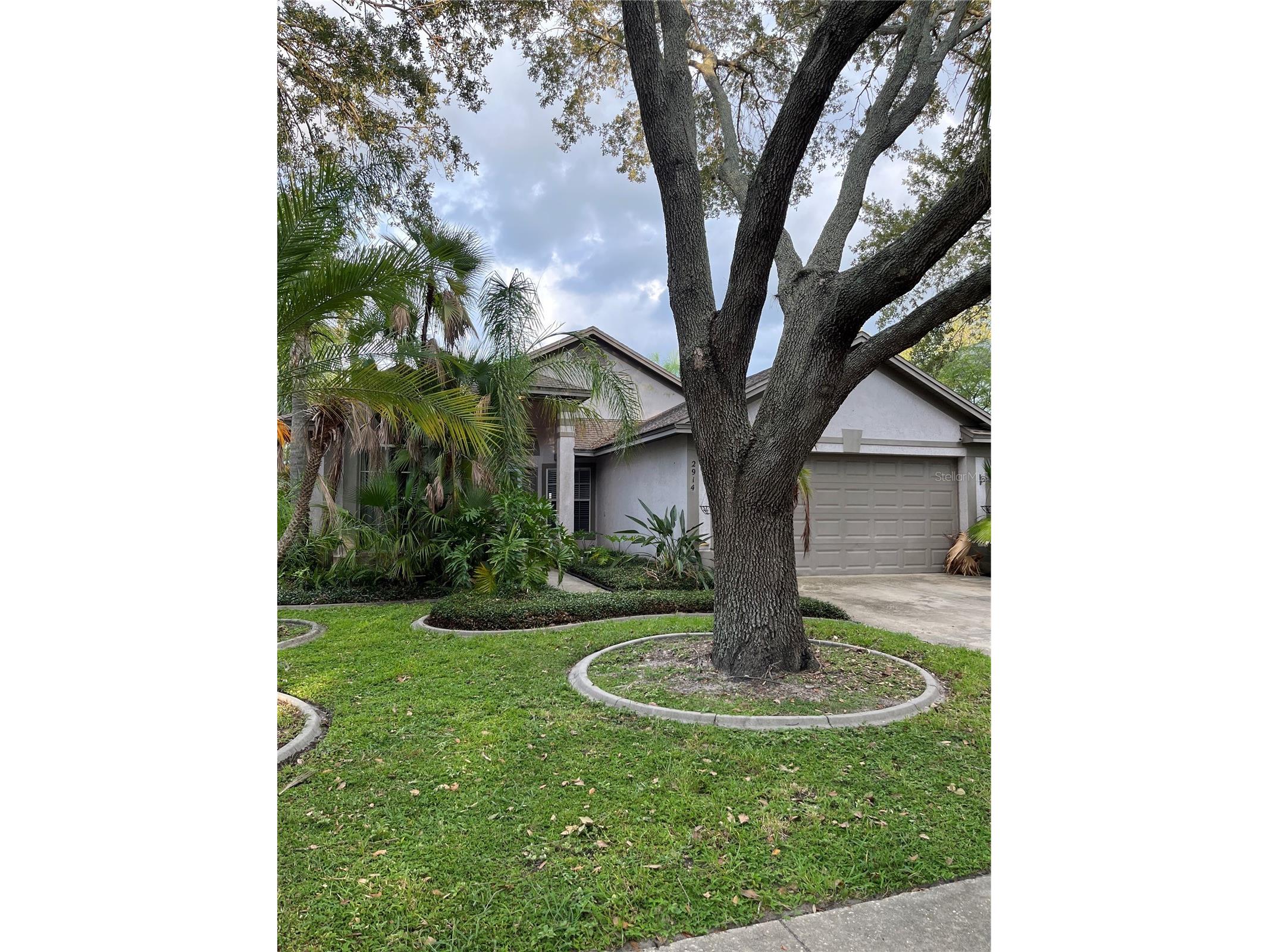 2914 Shannon Circle Palm Harbor FL 34684 TB8481147 image11