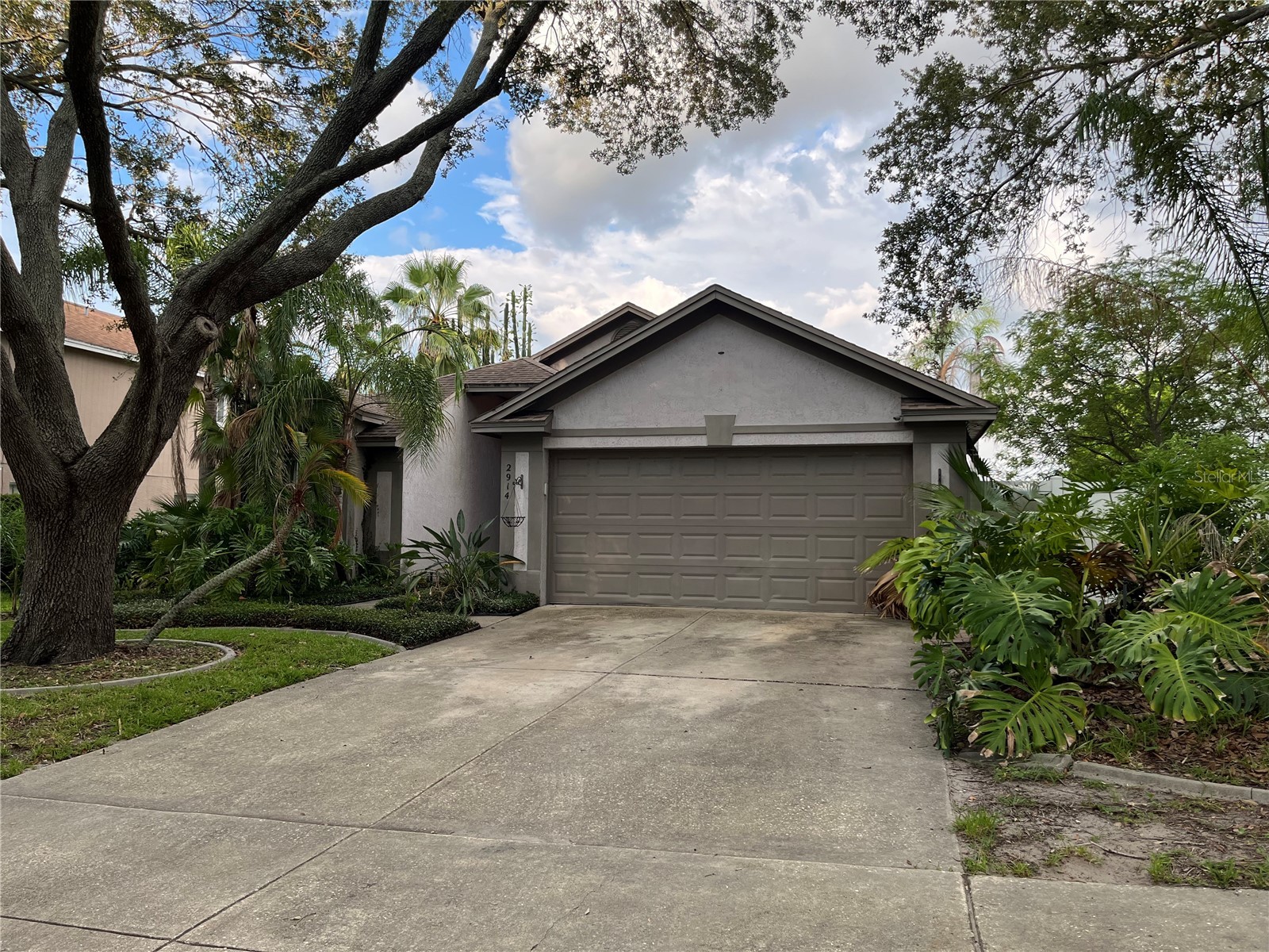 2914 Shannon Circle Palm Harbor FL 34684 TB8481147 image12