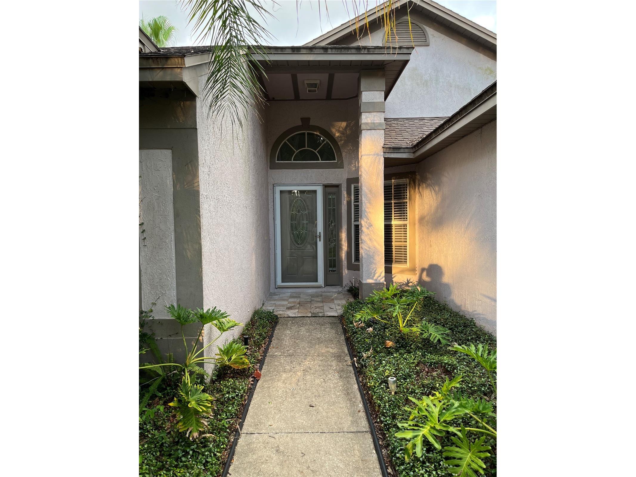 2914 Shannon Circle Palm Harbor FL 34684 TB8481147 image2