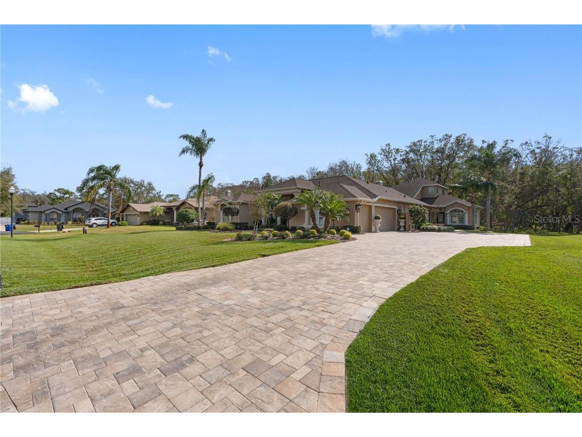 2914 Shipston Avenue New Port Richey FL 34655 TB8334862 image6