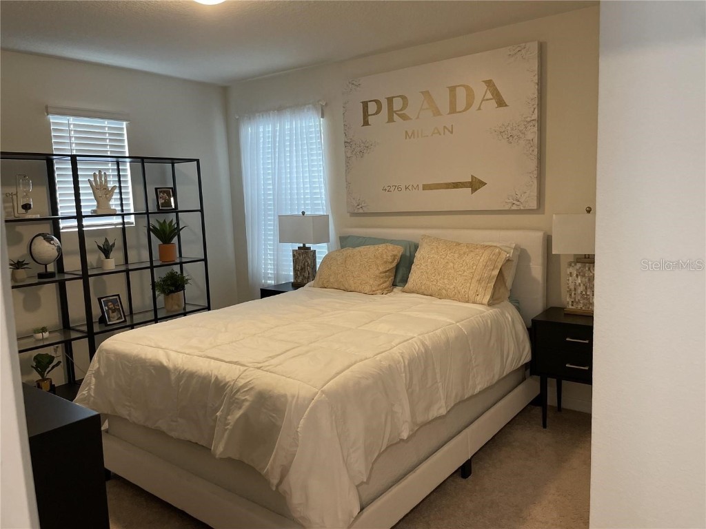 2914 Summer Green Trail Kissimmee FL 34744 O6335637 image8