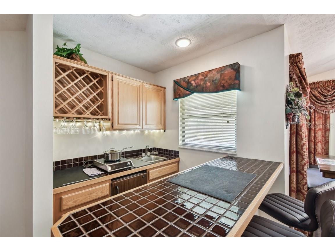 2914 Timber Knoll Drive Valrico FL 33596 TB8377329 image19